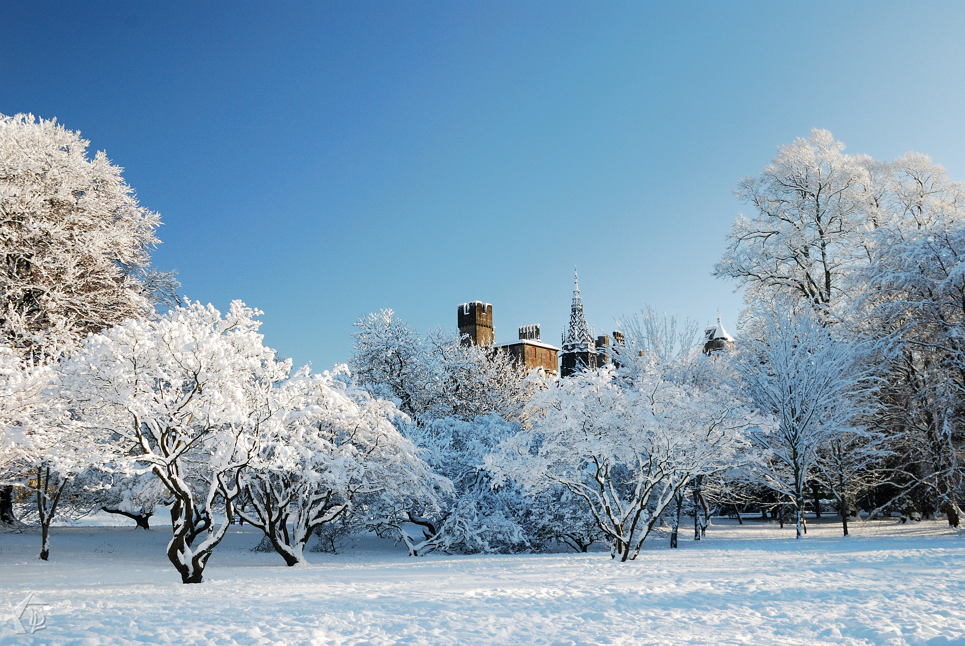 Nikon D80 + Sigma 18-50mm F2.8 EX DC sample photo. Snowy bute park and the castle photography