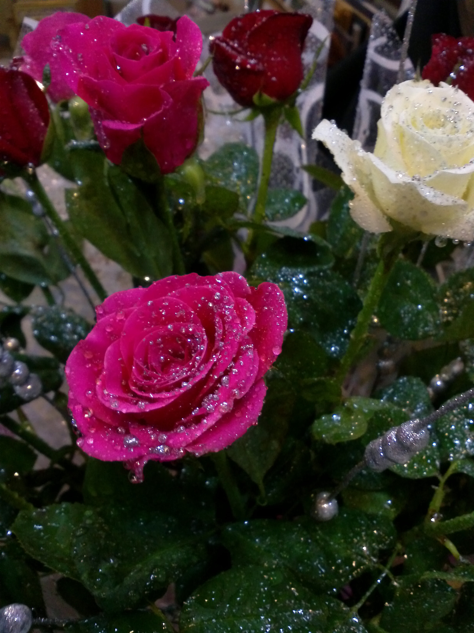 LG Optimus 2X sample photo. Glittery roses  photography