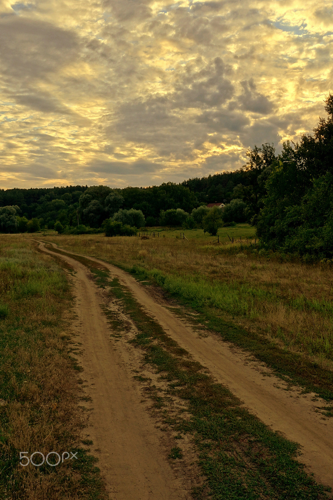 Sony SLT-A65 (SLT-A65V) sample photo. Вечер photography