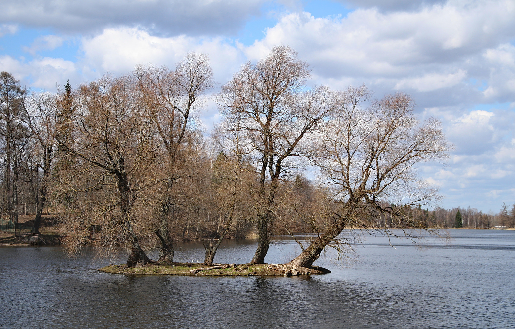 Sigma 18-125mm F3.8-5.6 DC OS HSM sample photo. Trees on the island photography