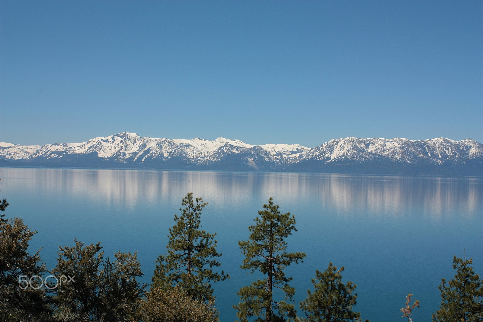 Canon EF-S 18-55mm F3.5-5.6 IS sample photo. Blue at its finest photography