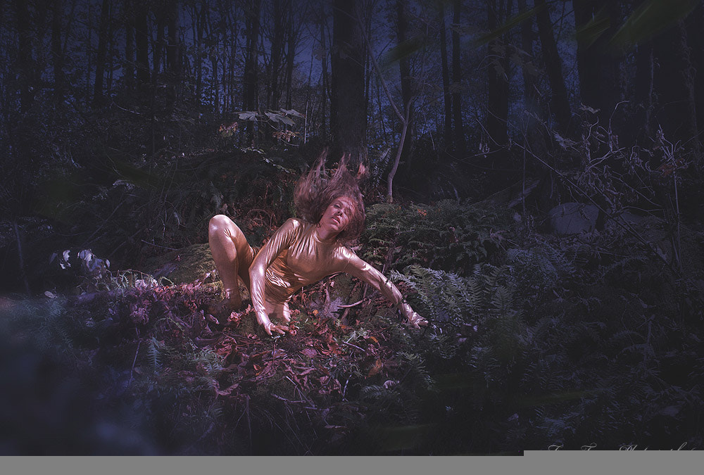 Nikon D3X sample photo. The spirit #1 photography