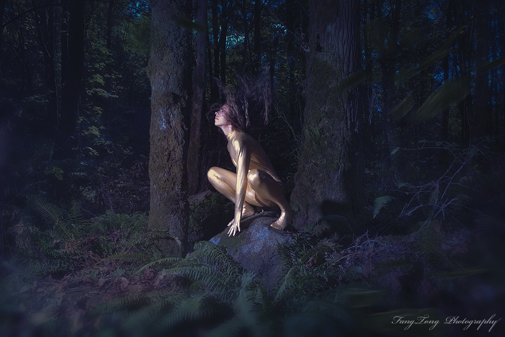 Nikon D3X sample photo. The spirit #4 photography