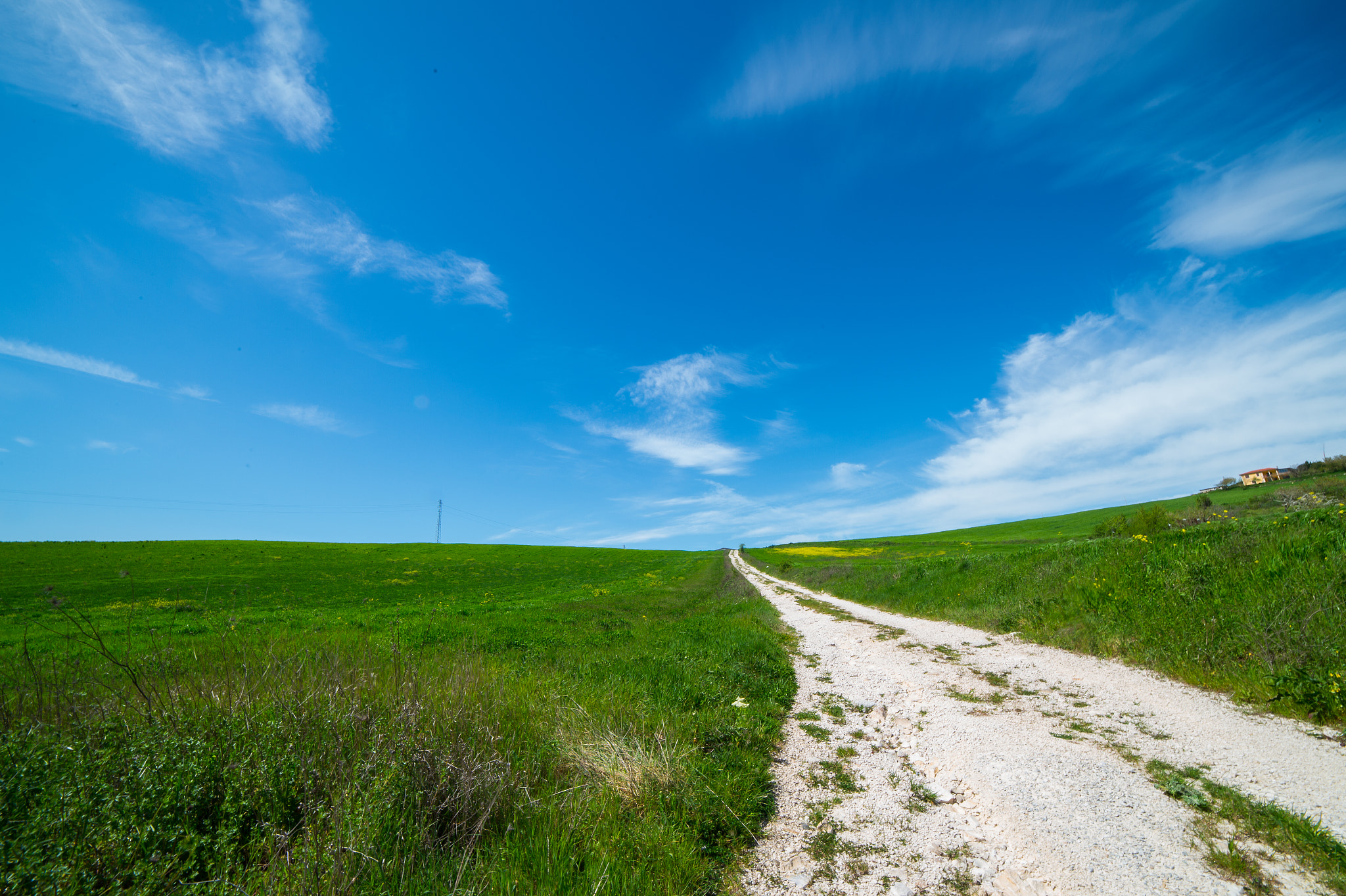 Nikon Df sample photo. Strada di campagna photography
