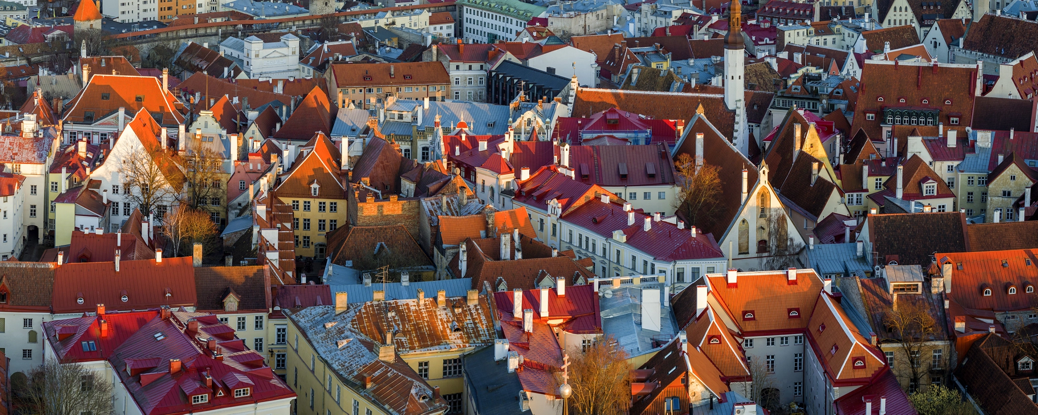 DJI FC550 + Olympus M.Zuiko Digital 45mm F1.8 sample photo. Medieval tallinn photography