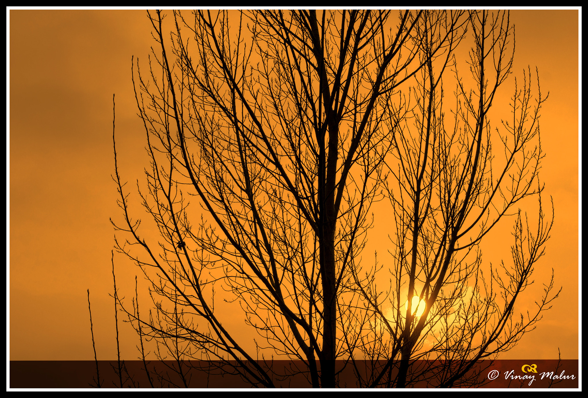Canon EF 75-300mm f/4-5.6 USM sample photo. Dawn photography