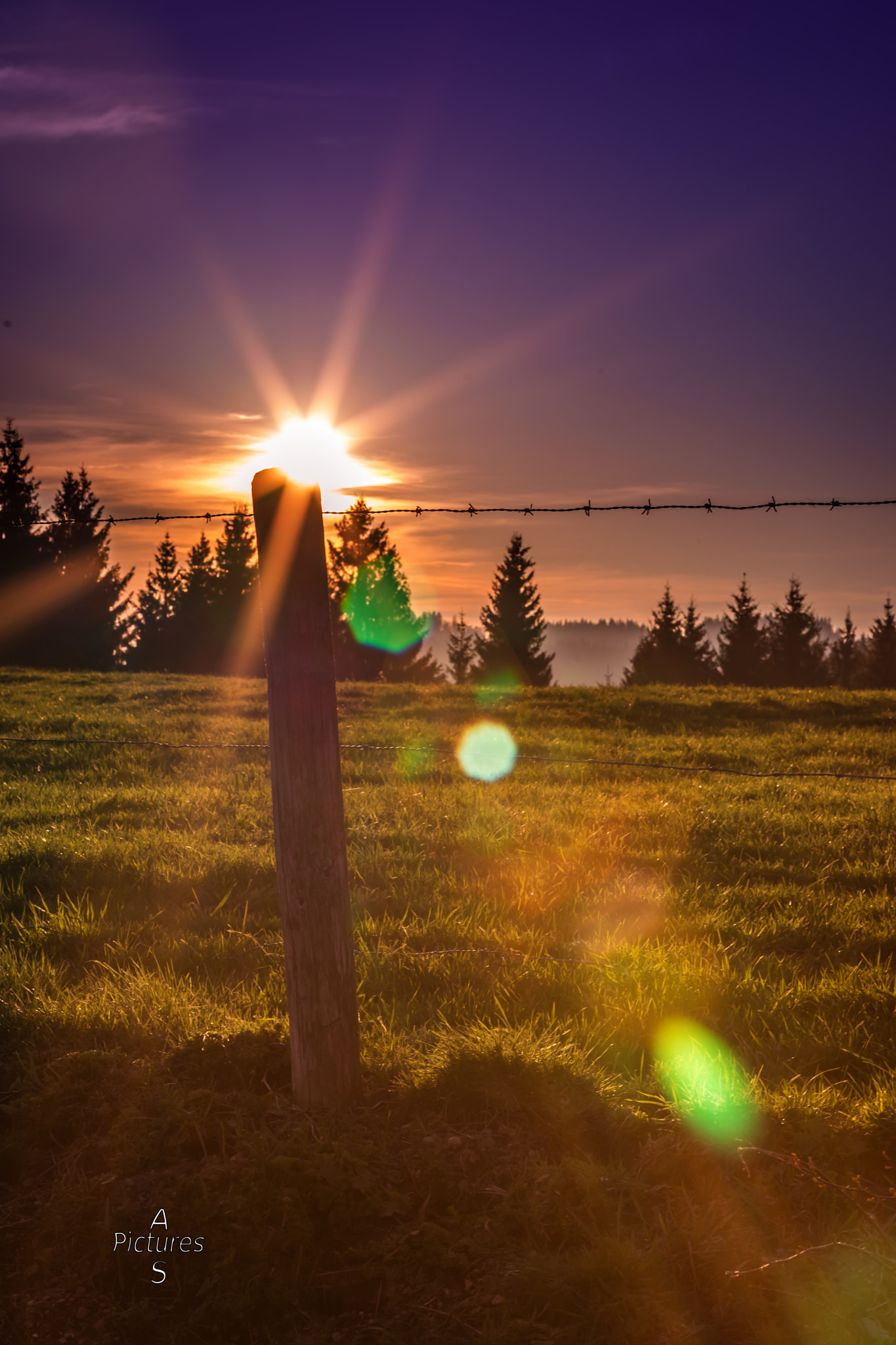 DT 0mm F0 SAM sample photo. Sunset at a fence photography