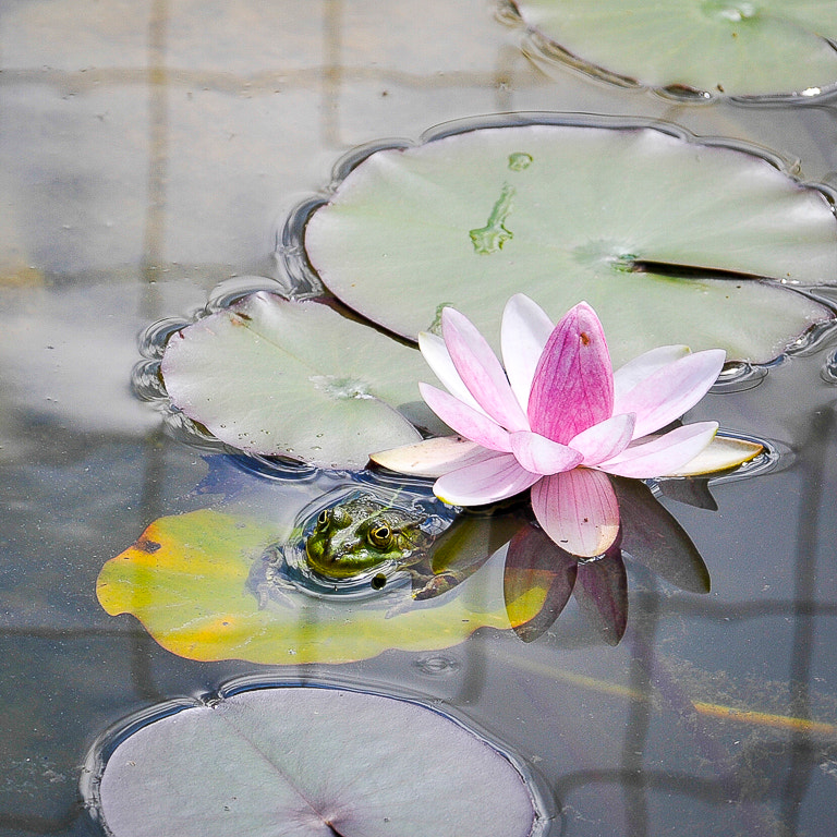 Sigma 18-200mm F3.5-6.3 DC OS HSM sample photo