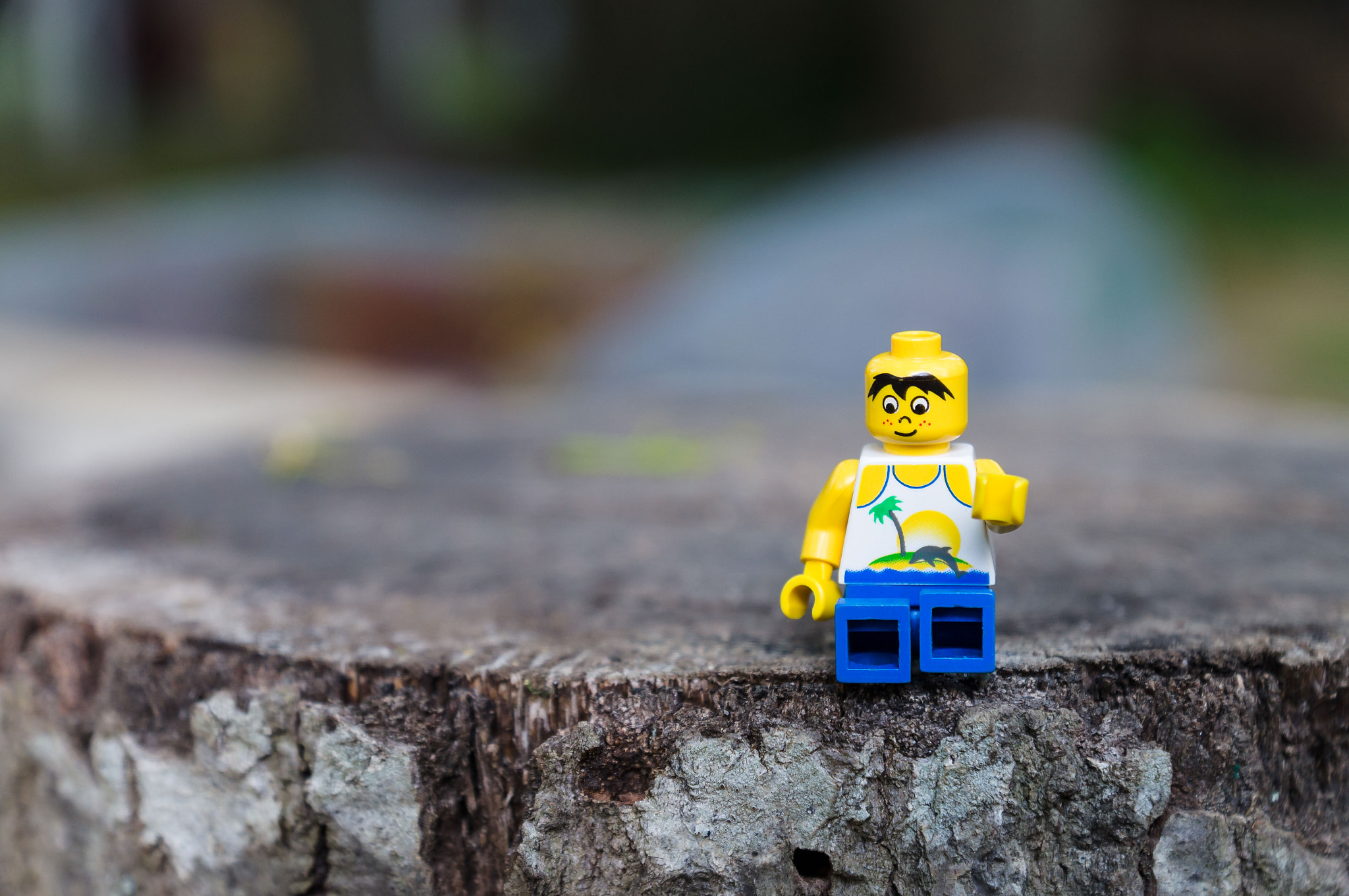 Sony SLT-A37 + Sony DT 16-50mm F2.8 SSM sample photo. Lego adventures photography