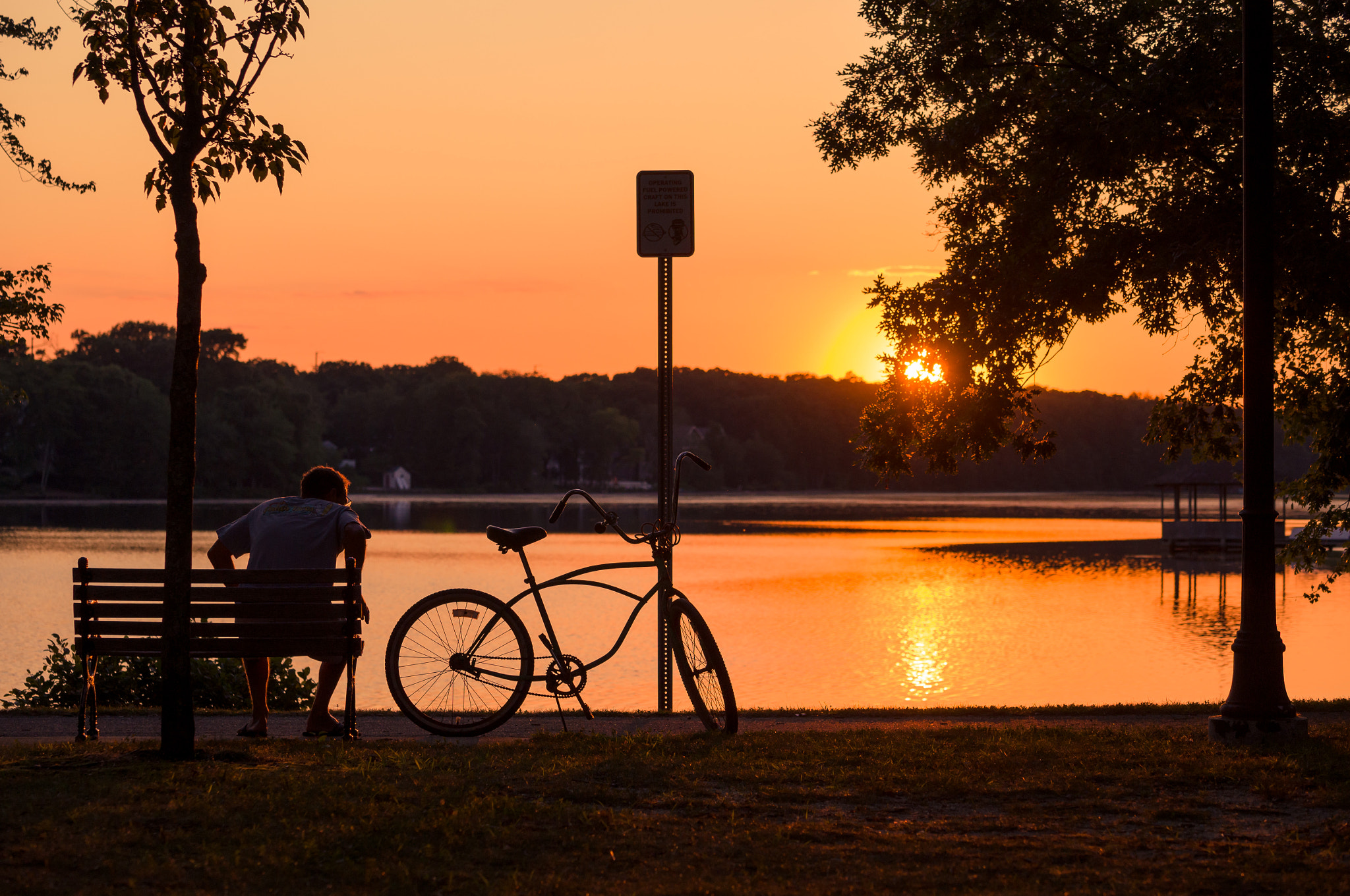 Sony SLT-A37 sample photo. Sunset in the park 1 photography