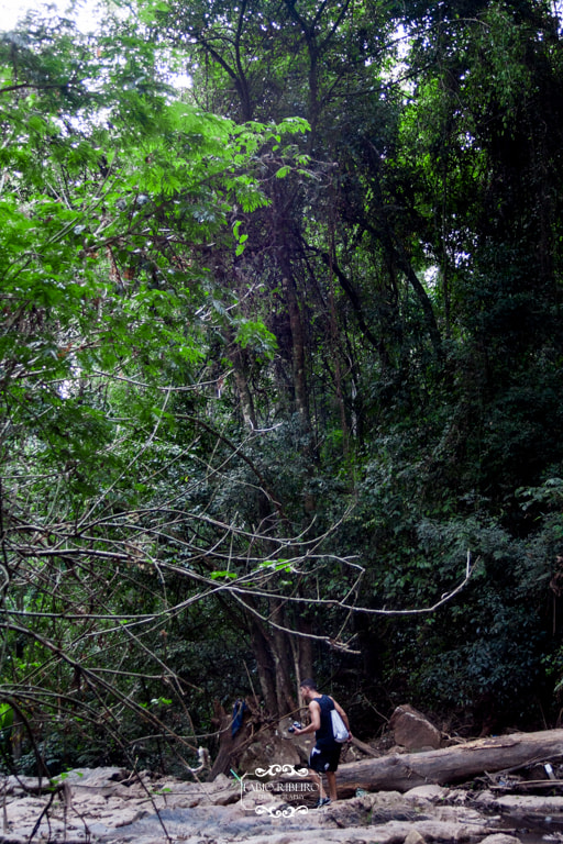 Canon EF 35-135mm f/4-5.6 USM sample photo. The nature photography