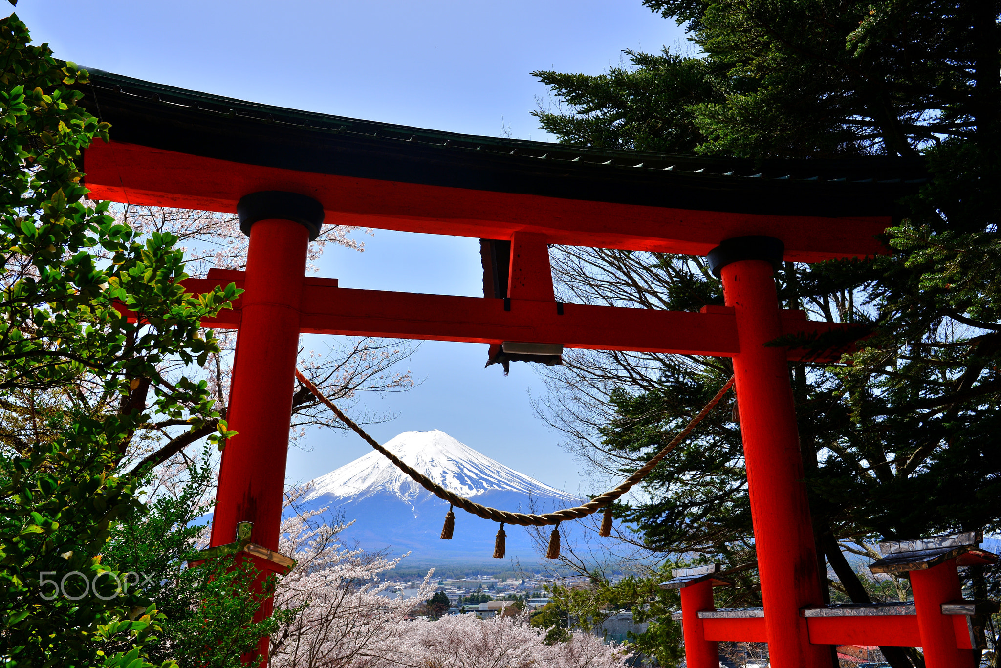 Fuji and Torii