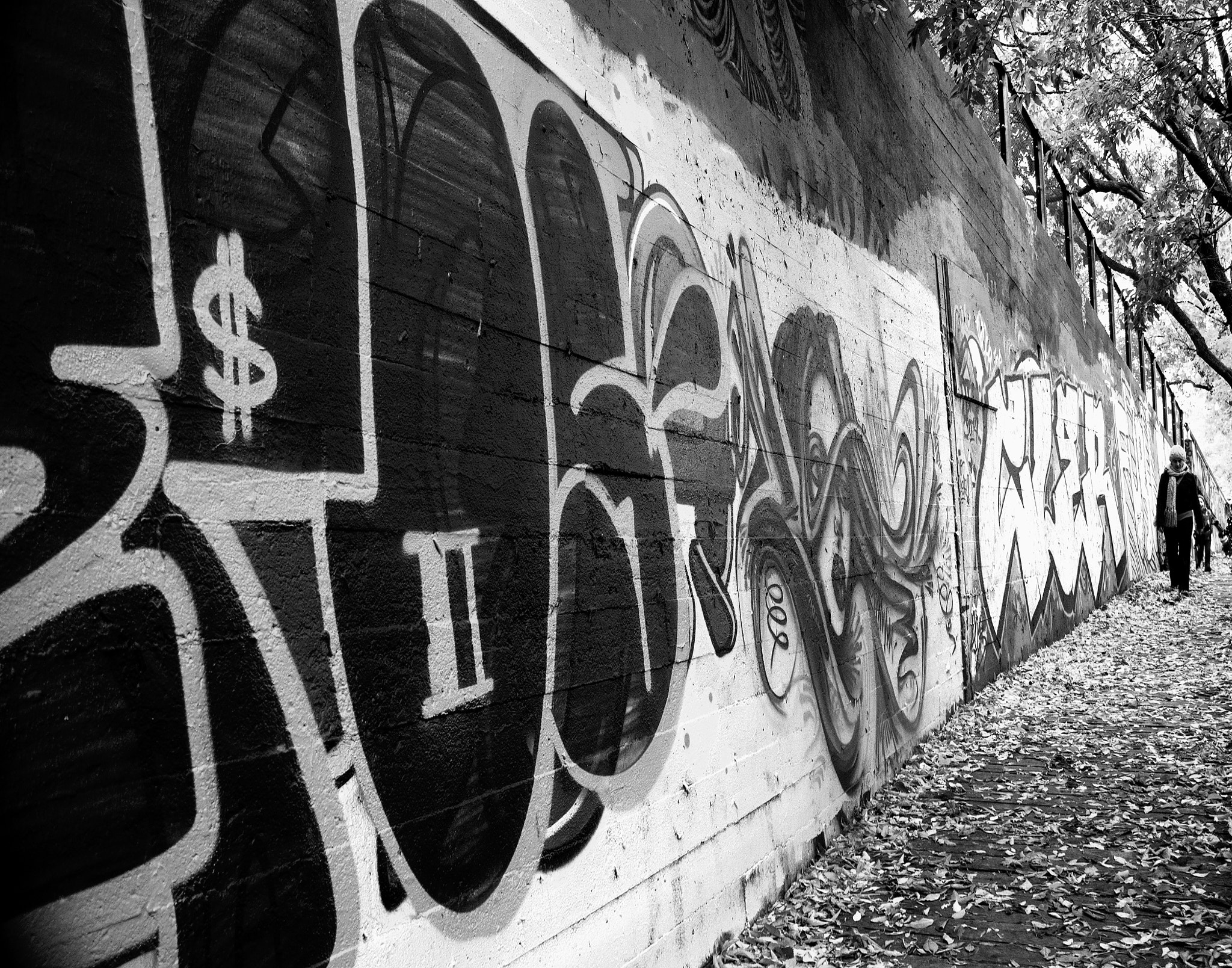 Sony Alpha DSLR-A500 sample photo. Street art, quebec city photography