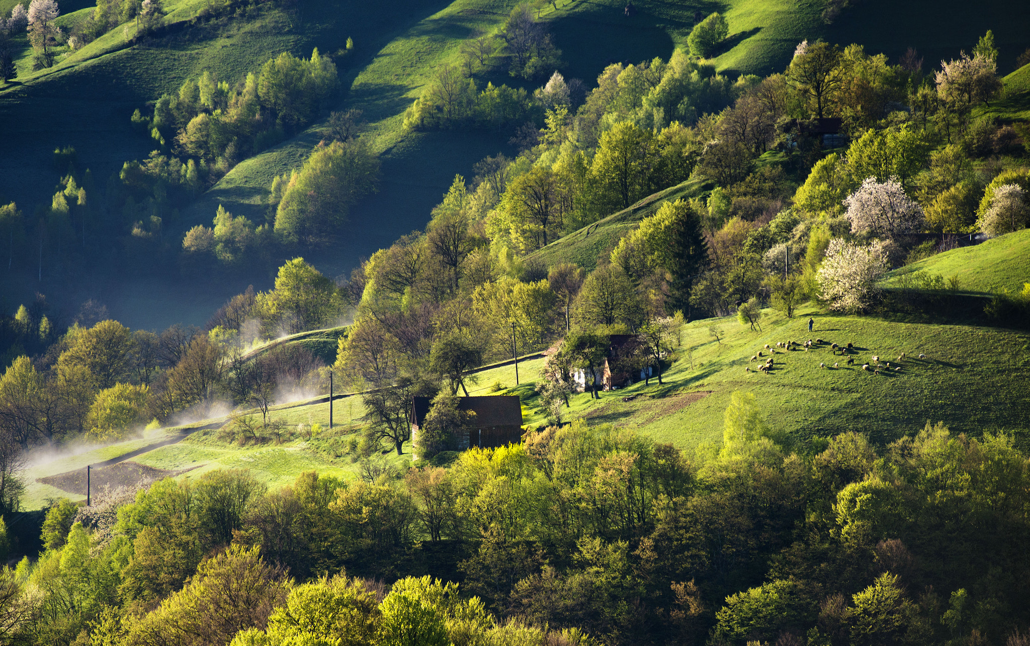 AF Zoom-Nikkor 80-200mm f/2.8 ED sample photo. Pure morning photography