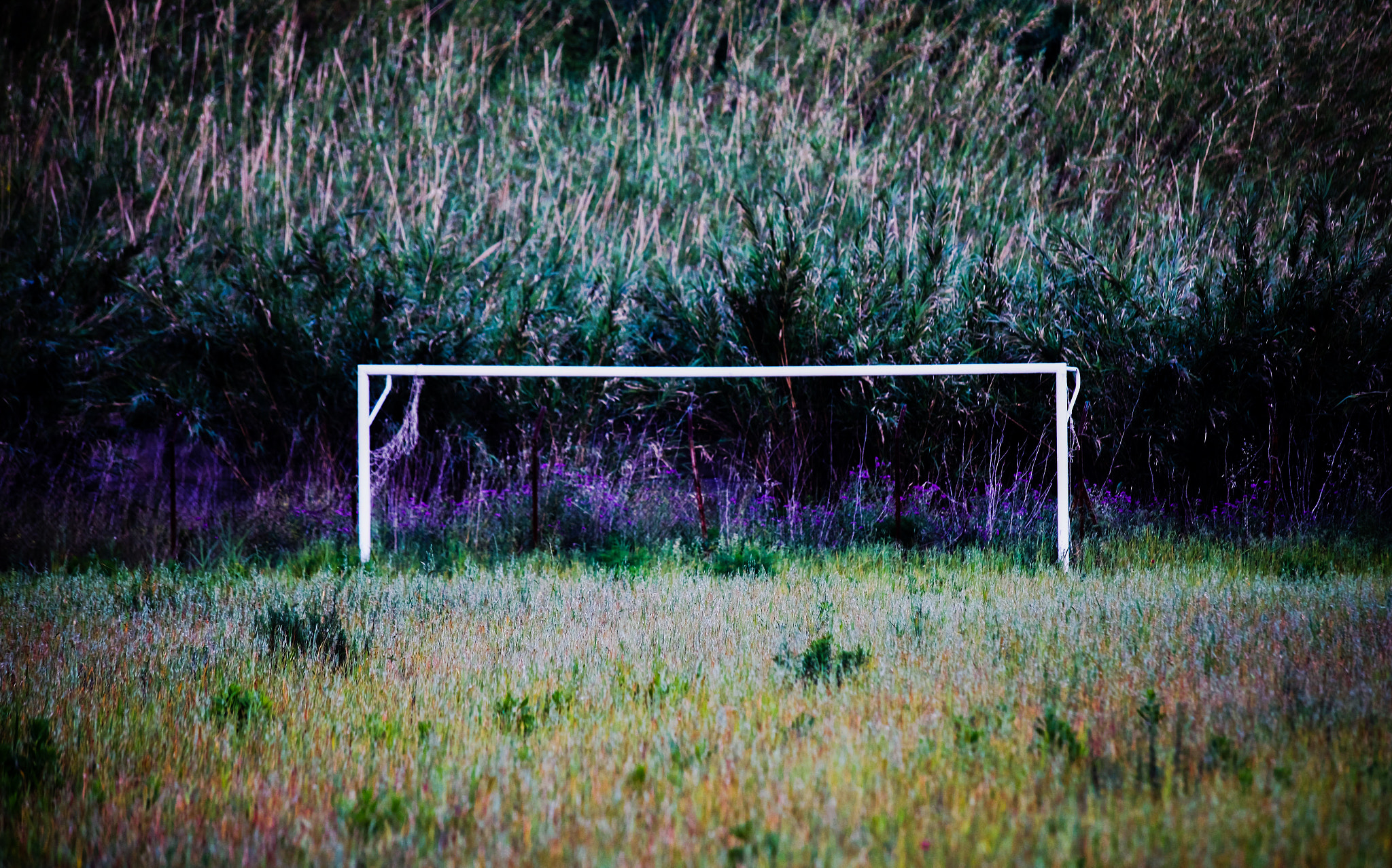 Canon EF 70-300mm F4-5.6 IS USM sample photo. Forgotten football field photography