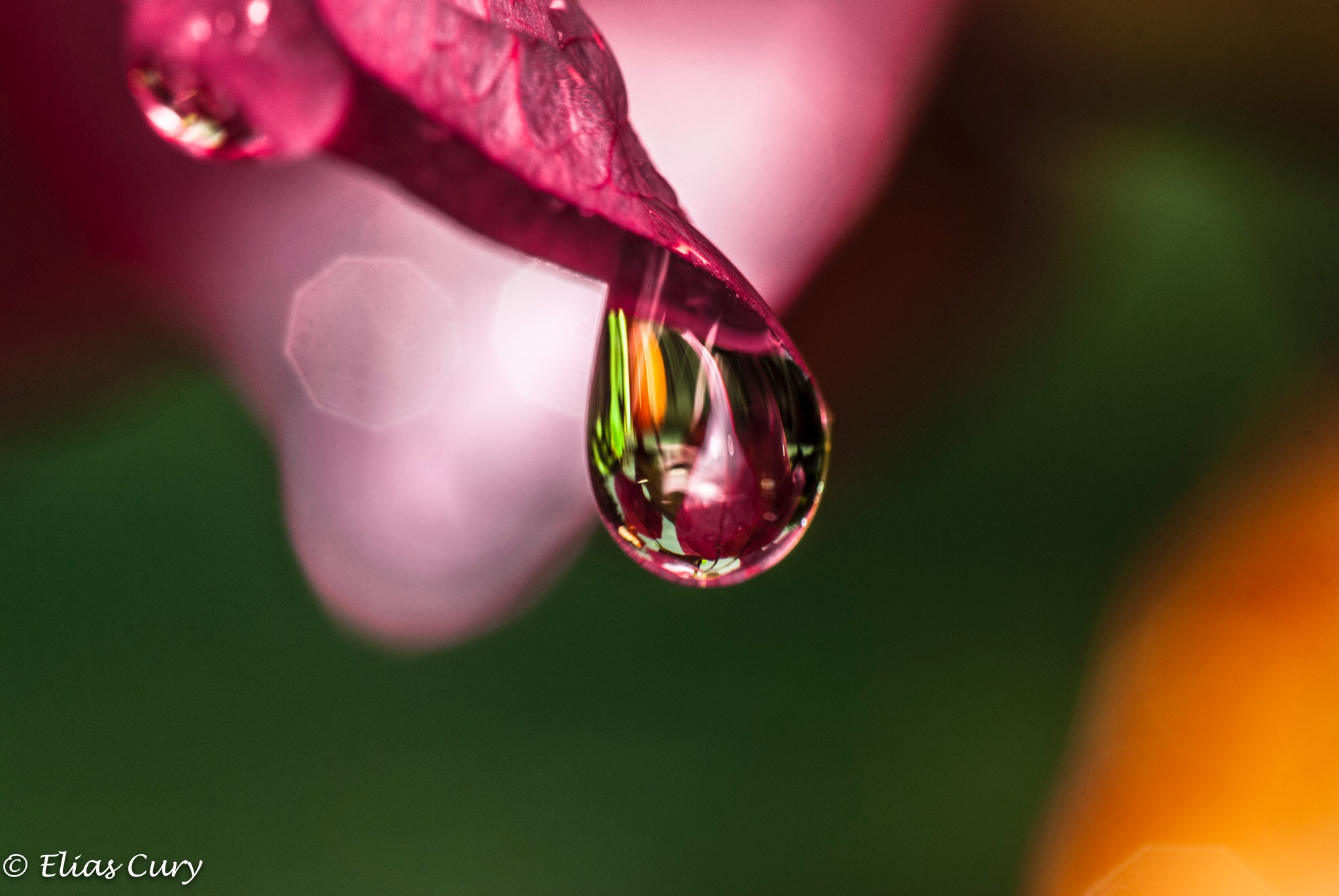Sony Alpha DSLR-A330 sample photo. A tear photography
