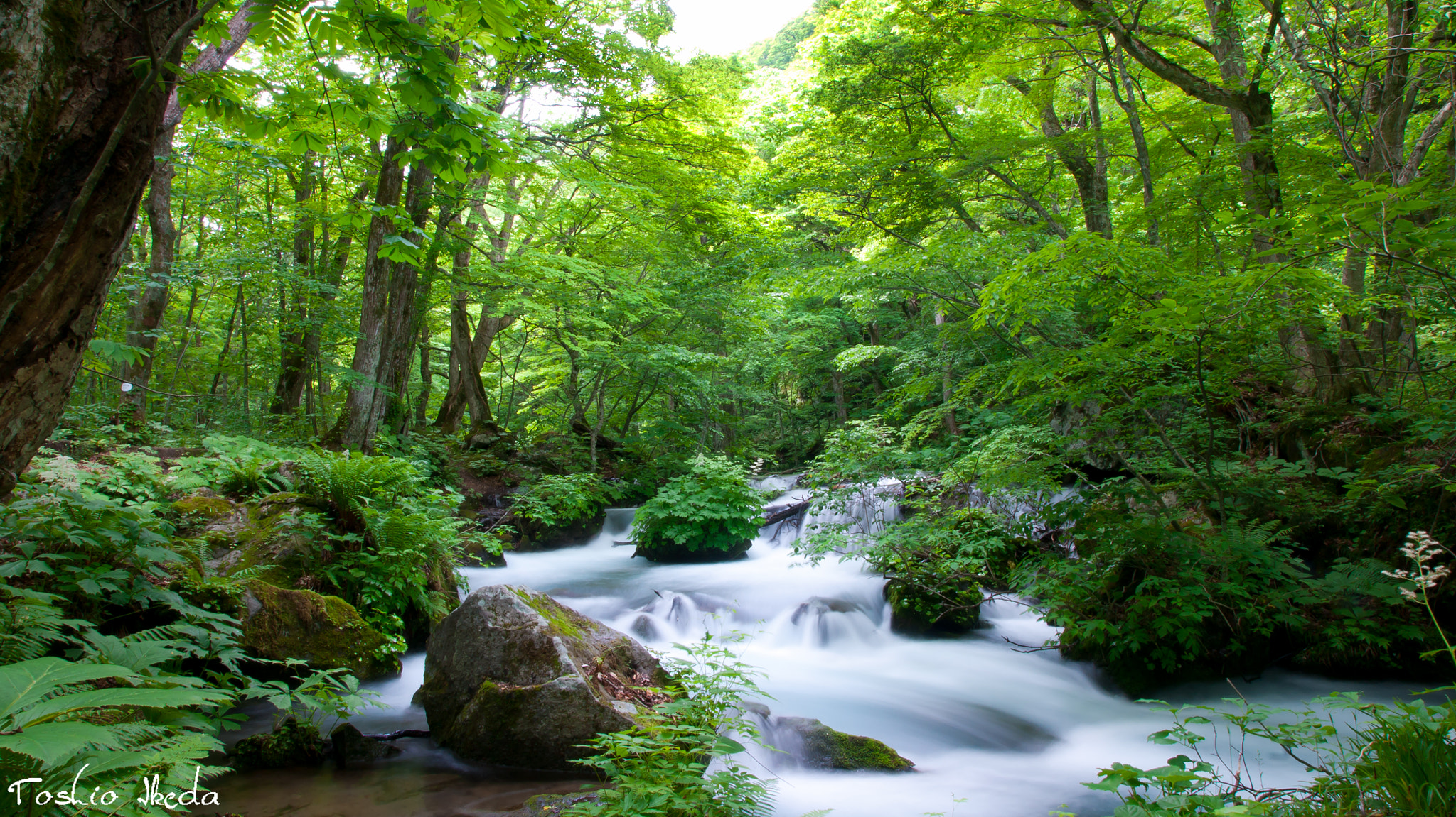 Sony Alpha DSLR-A700 sample photo. Mountain stream 奥入瀬 photography