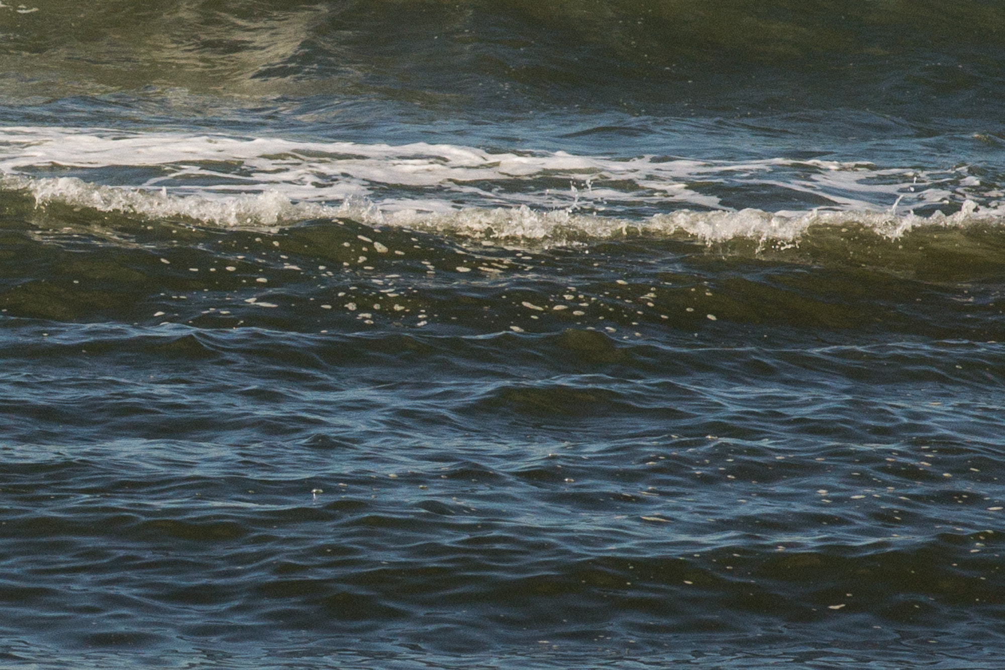 Nikon D3100 + Nikon AF-S Nikkor 85mm F1.8G sample photo. Seascape (25) photography