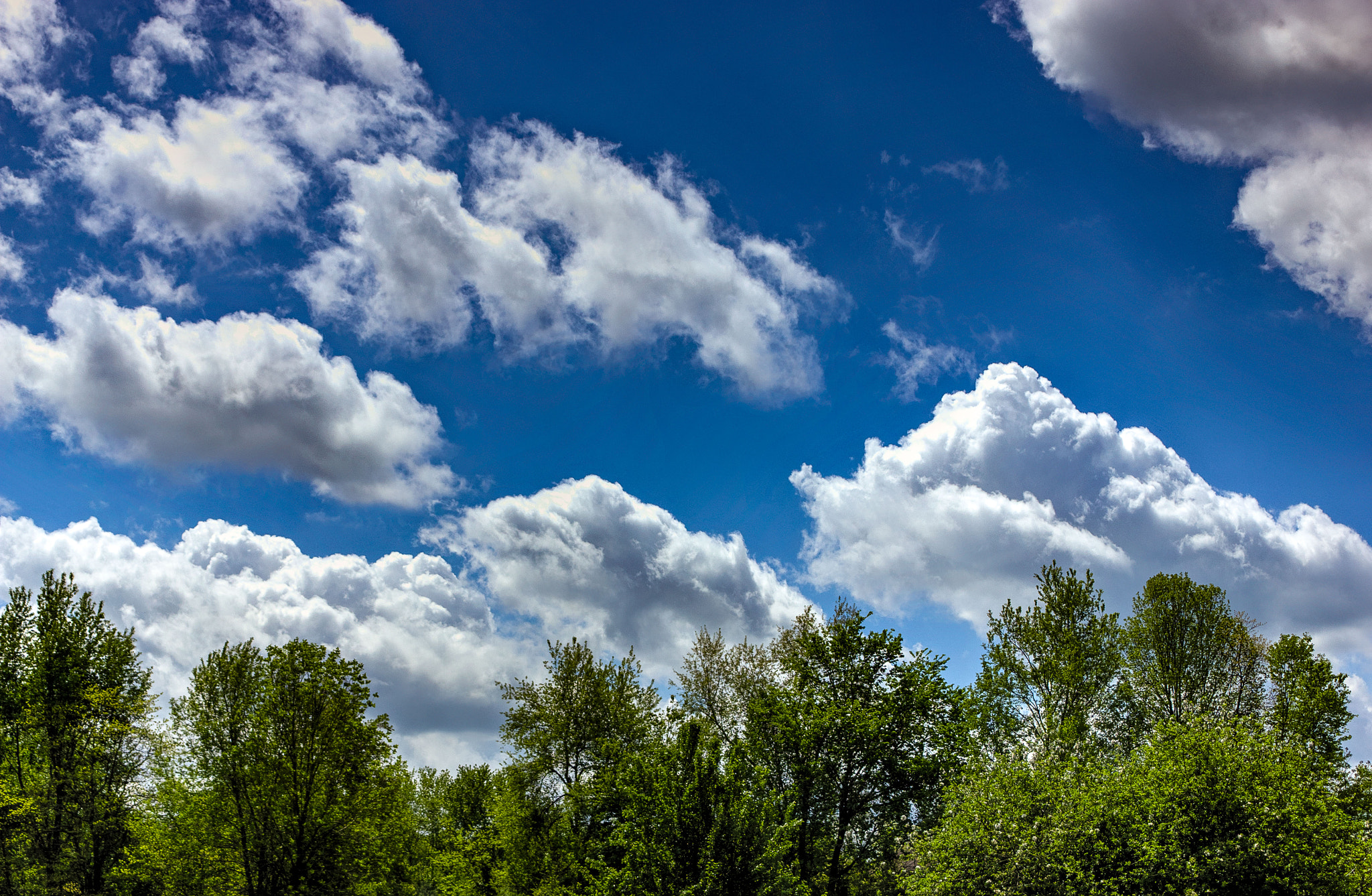 Canon EF 35-80mm F4.0-5.6 III sample photo. Happy earth day! photography