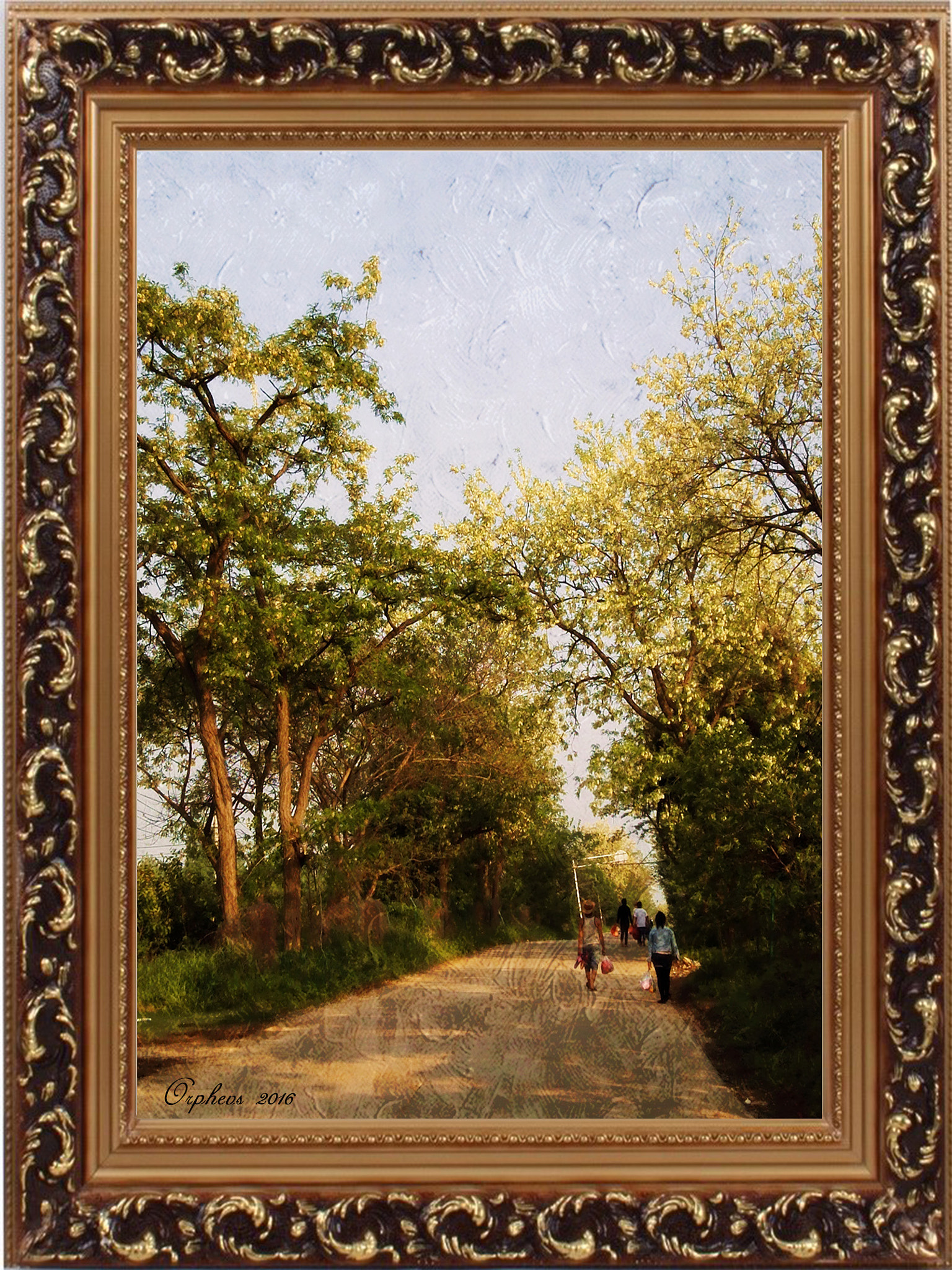 HUAWEI PE-TL00M sample photo. Country road photography