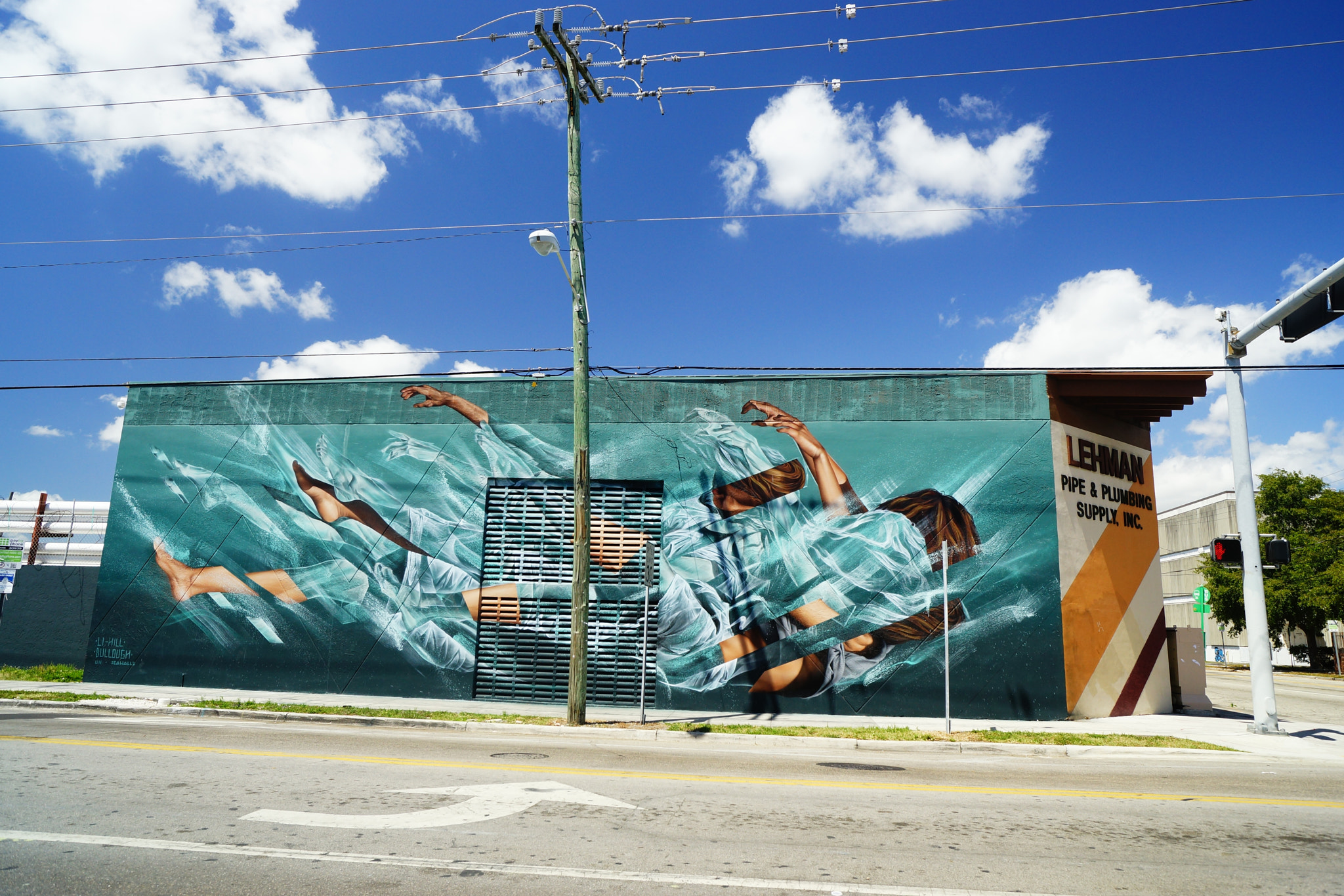 Sony SLT-A99V sample photo. Wynwood photography