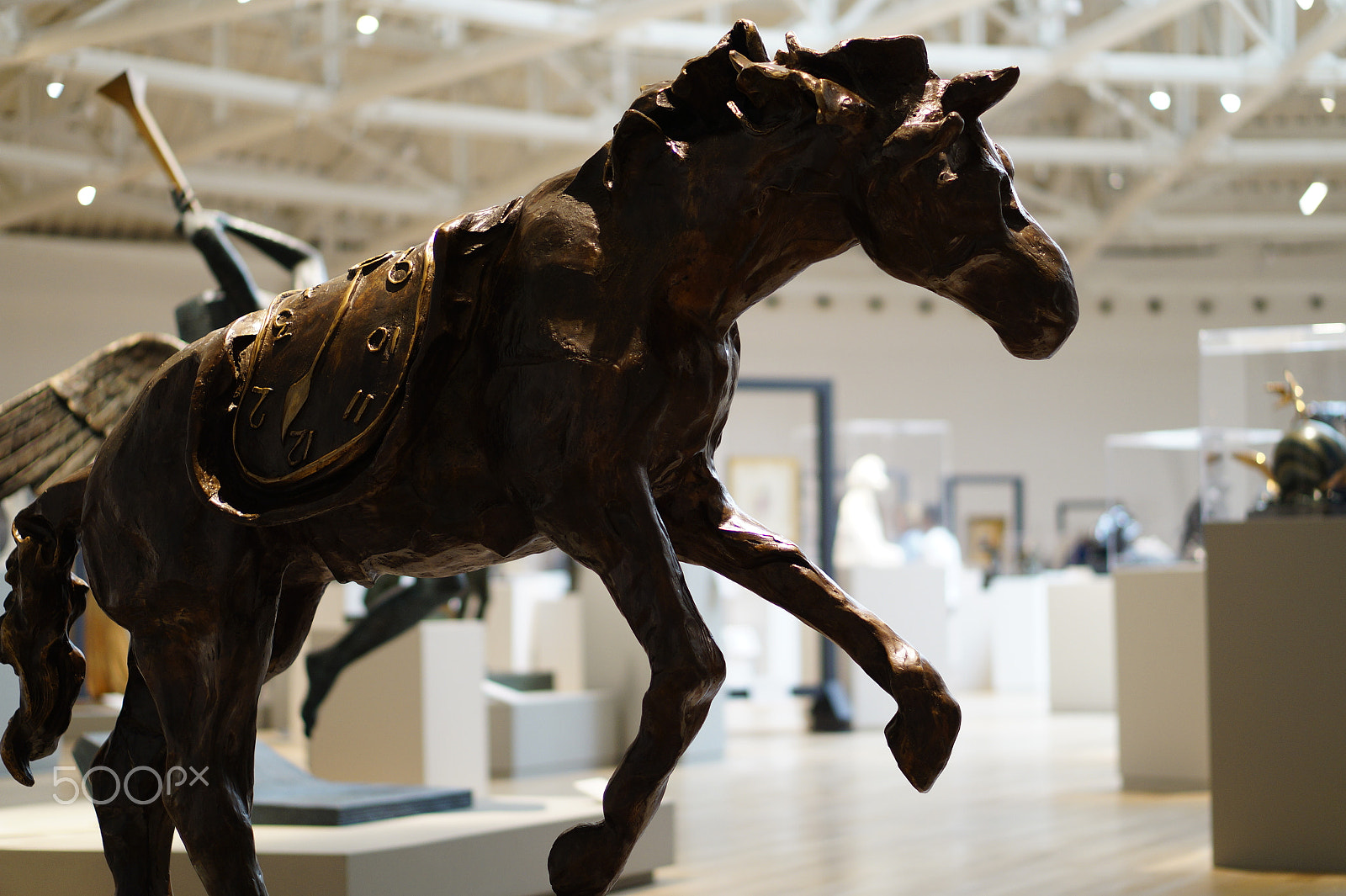 Sony E 50mm F1.8 OSS sample photo. Caballo montado por el tiempo photography