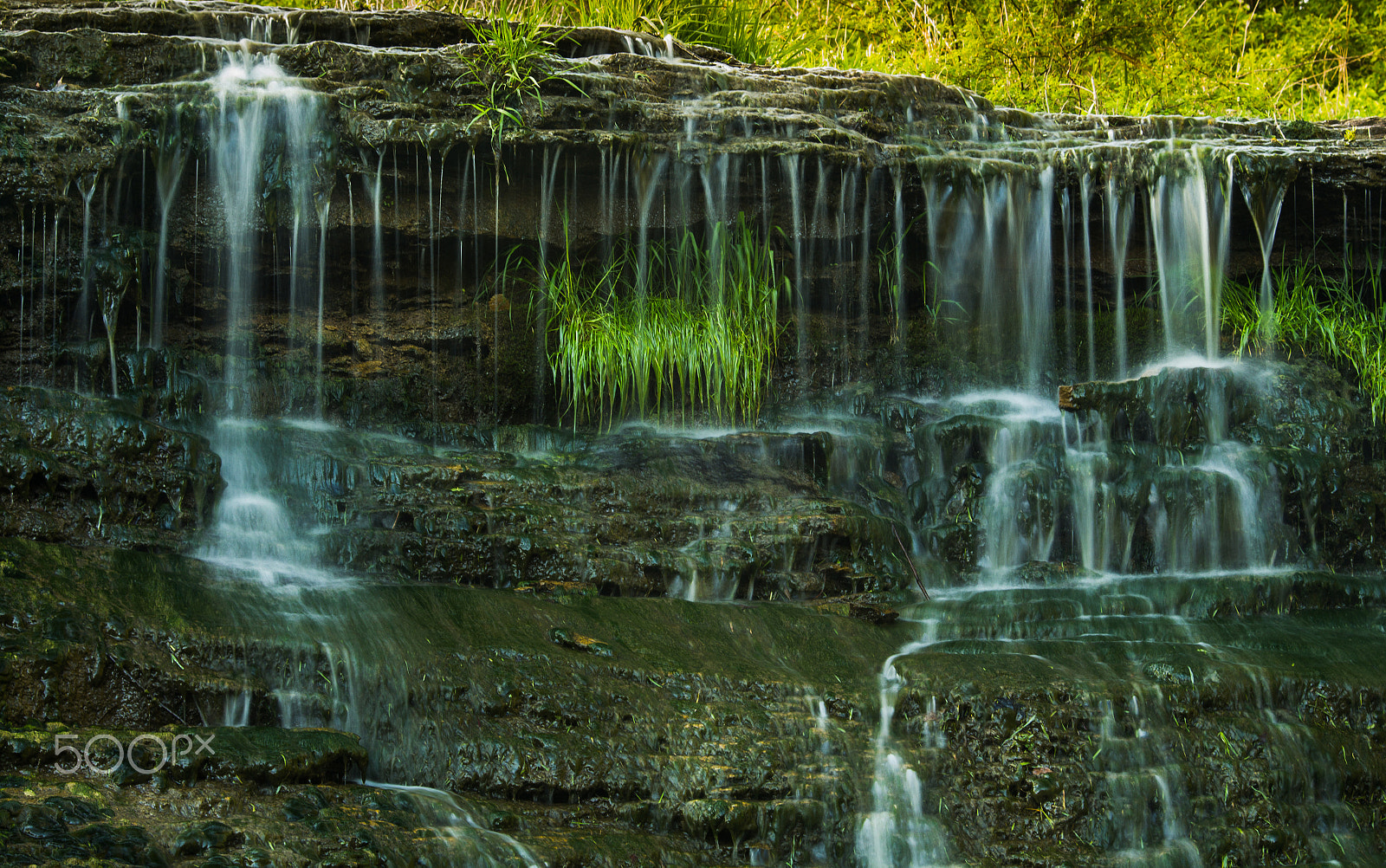 Sigma 70-200mm F2.8 EX DG OS HSM sample photo. After spring showers photography