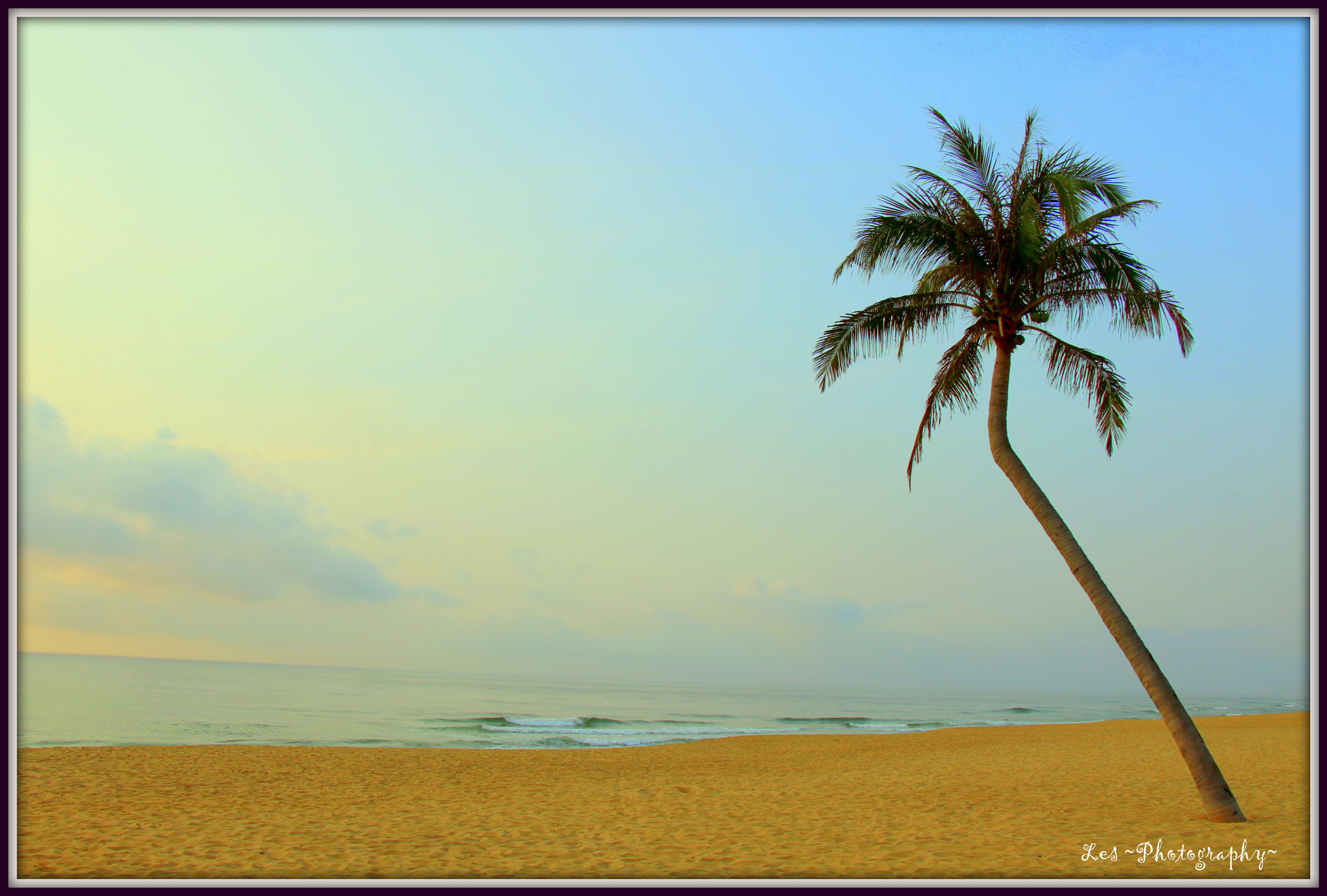 Canon EF-S 18-135mm F3.5-5.6 IS STM sample photo. Coconut... photography
