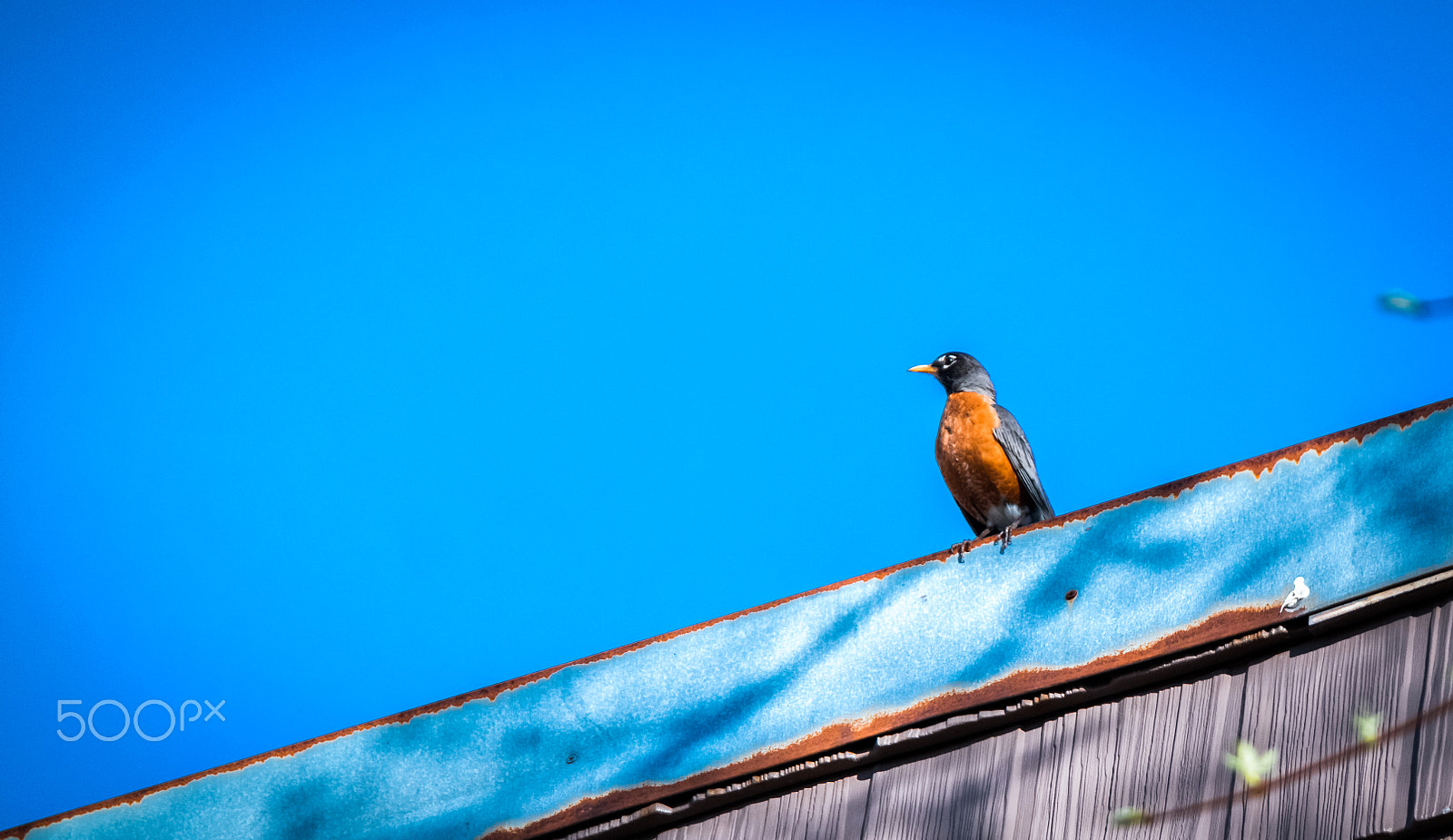 Samsung NX30 + Samsung NX 50-200mm F4-5.6 ED OIS sample photo. Alone!! photography