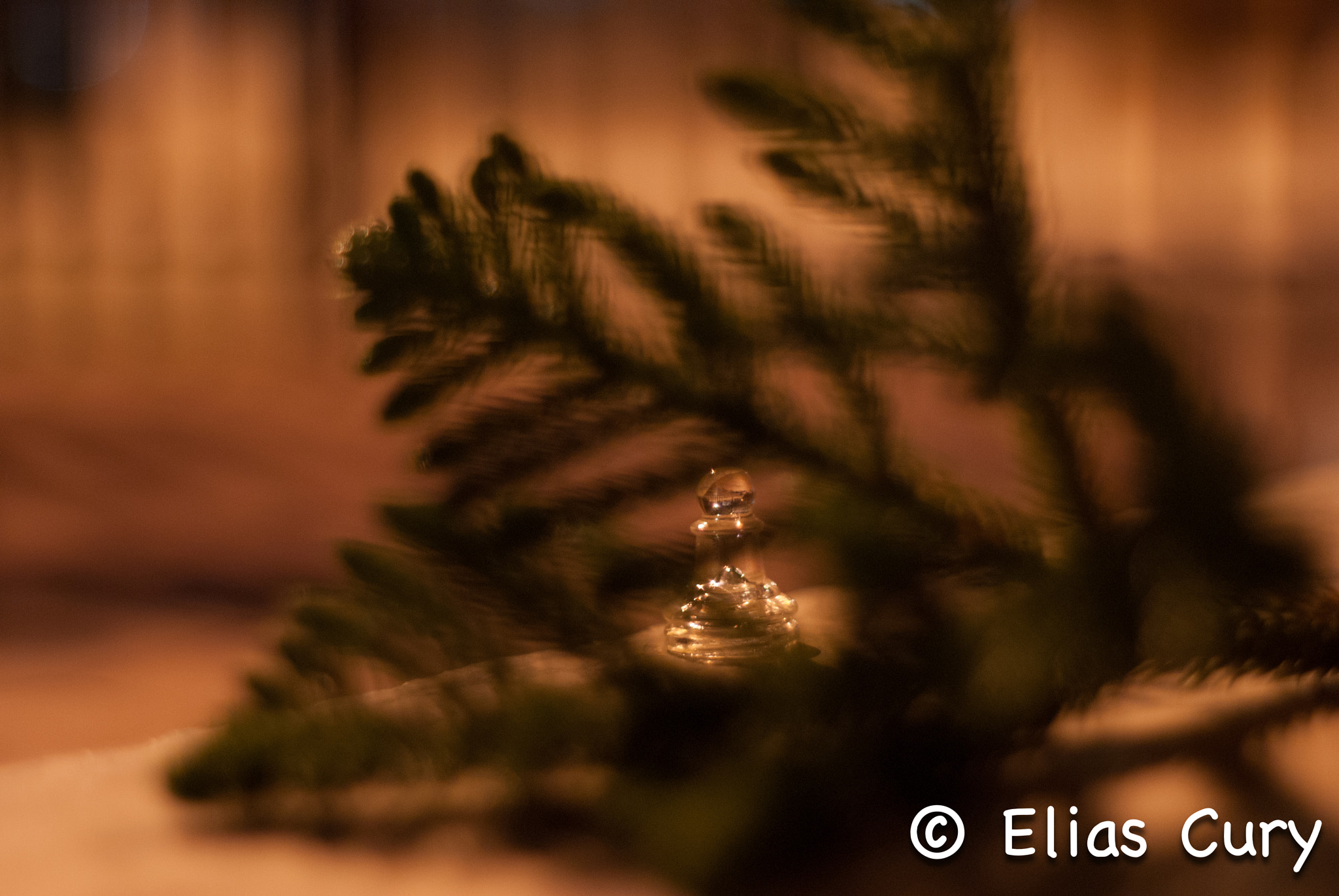 Sony Alpha DSLR-A330 + Minolta AF 50mm F1.7 sample photo. Behiend scene photography