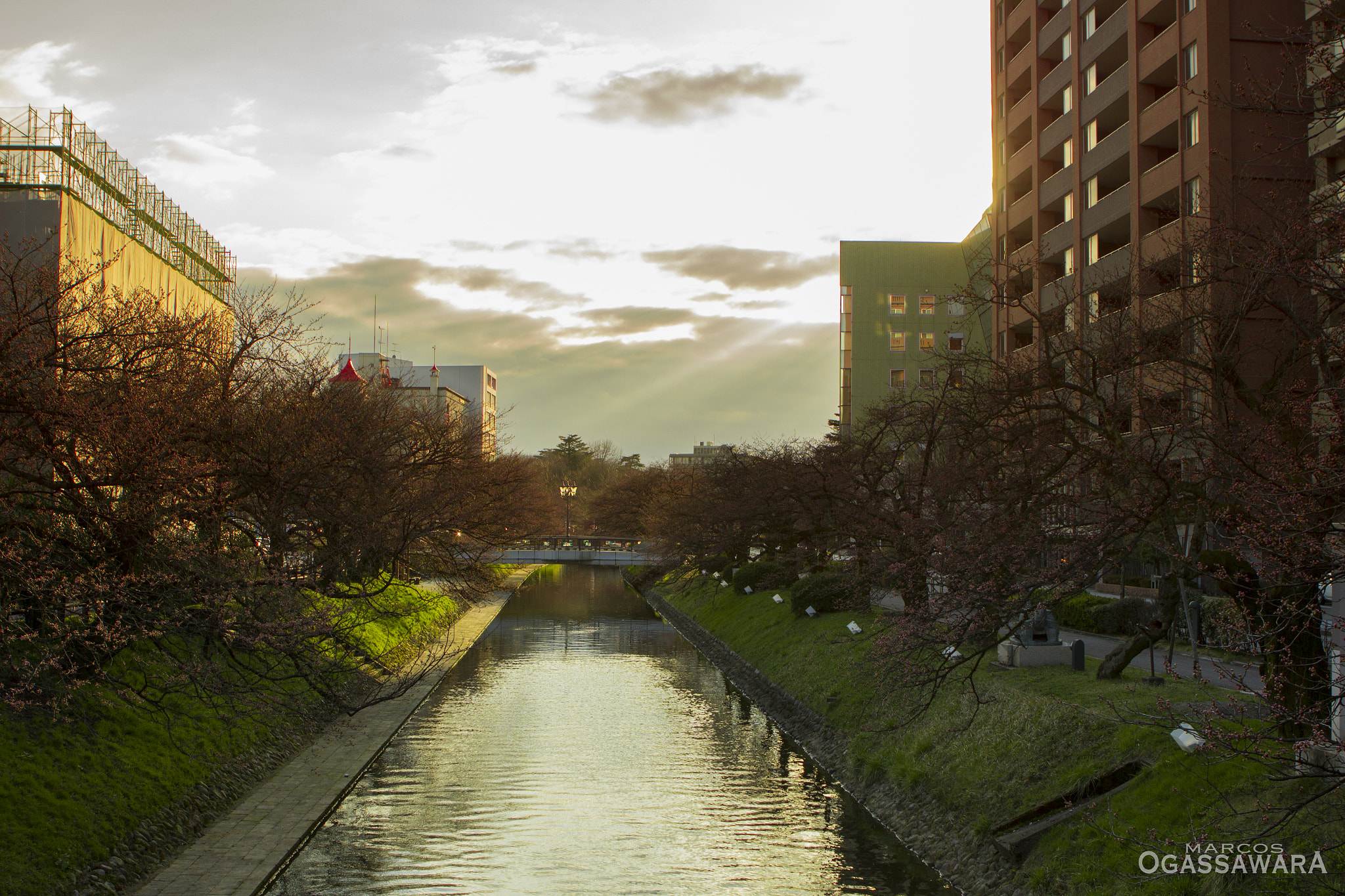Canon EOS 600D (Rebel EOS T3i / EOS Kiss X5) sample photo. Japan photography