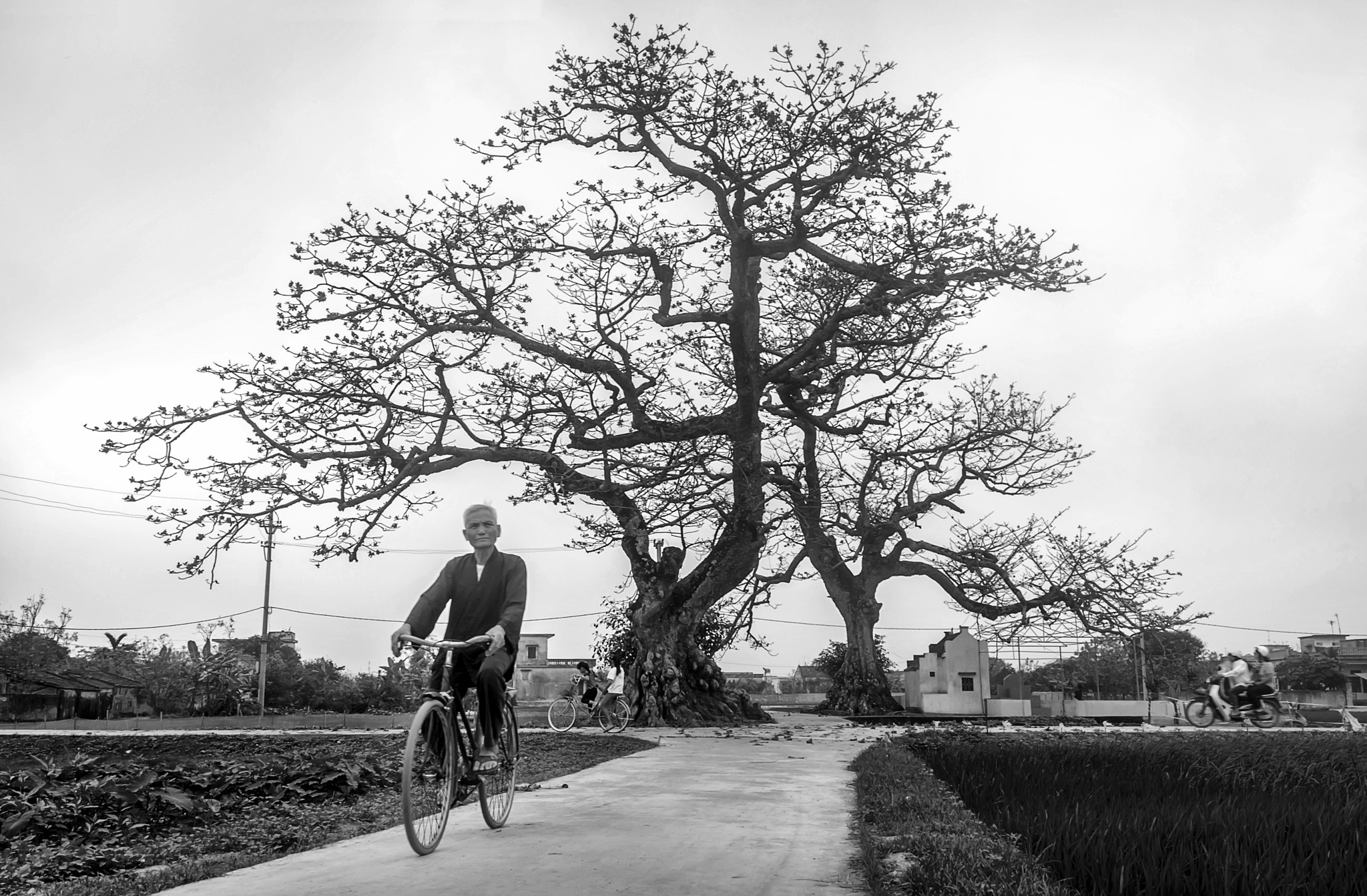 Nikon D5300 + Sigma 18-250mm F3.5-6.3 DC OS HSM sample photo. The old man on a country road. photography