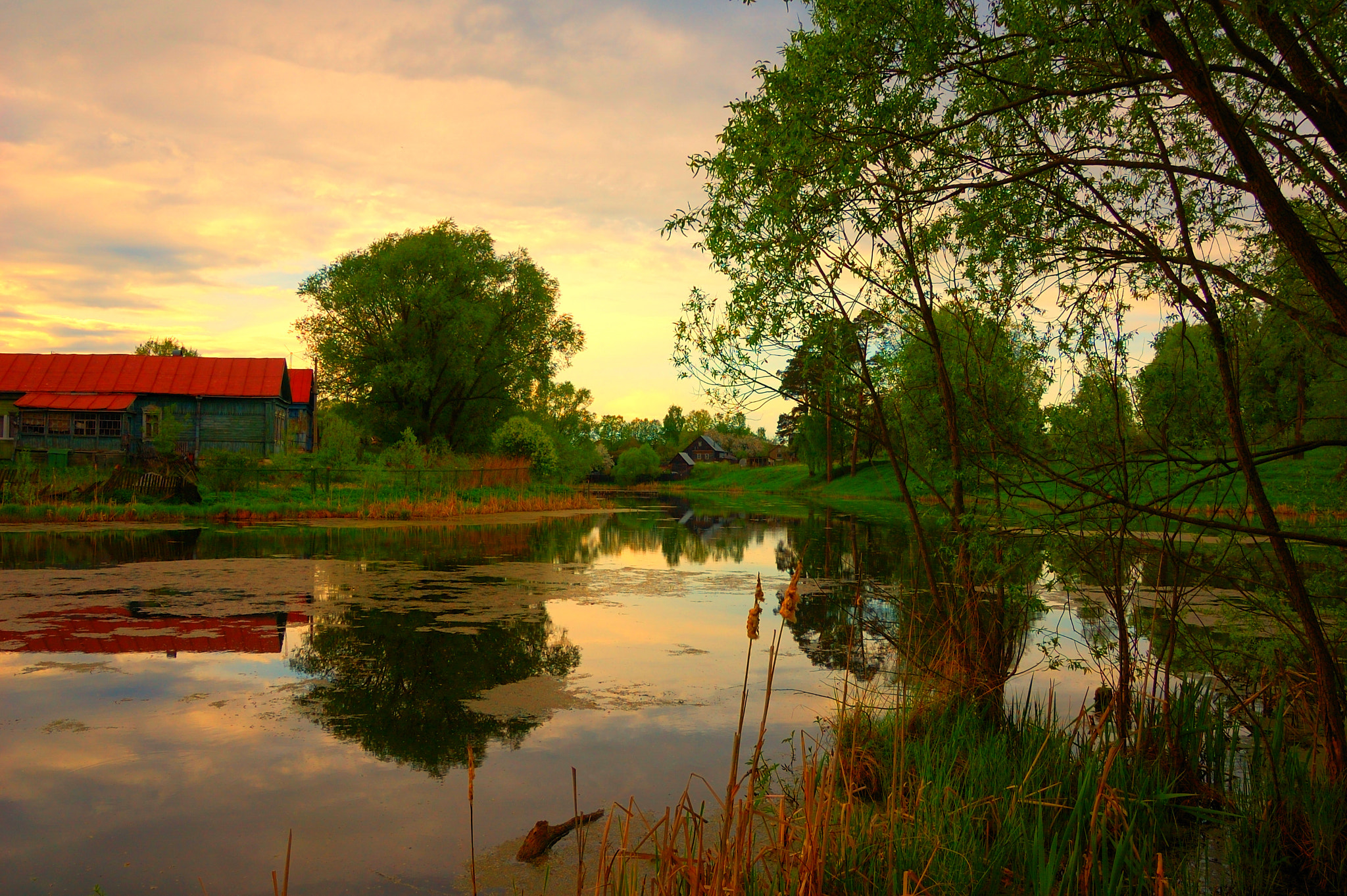 Nikon D40 + Sigma 18-50mm F2.8 EX DC Macro sample photo. Spring in the suburbs. moscow region, russia photography