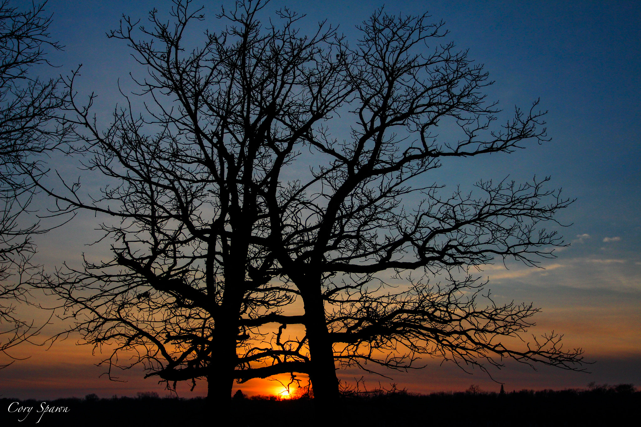 Canon EOS 700D (EOS Rebel T5i / EOS Kiss X7i) + Canon EF 17-40mm F4L USM sample photo. Sunset through the trees photography