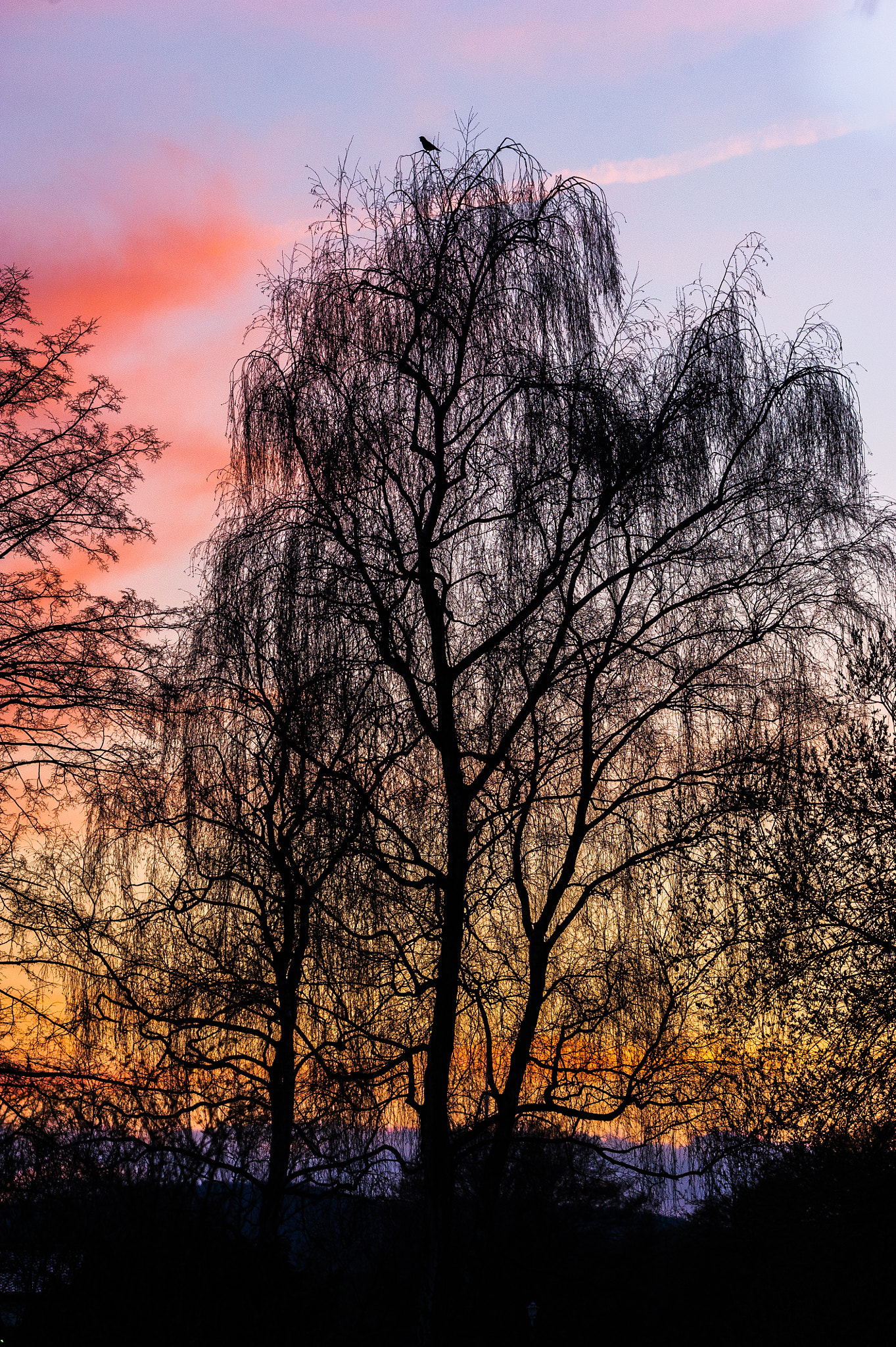 Nikon D3S sample photo. Sunset is beautiful photography