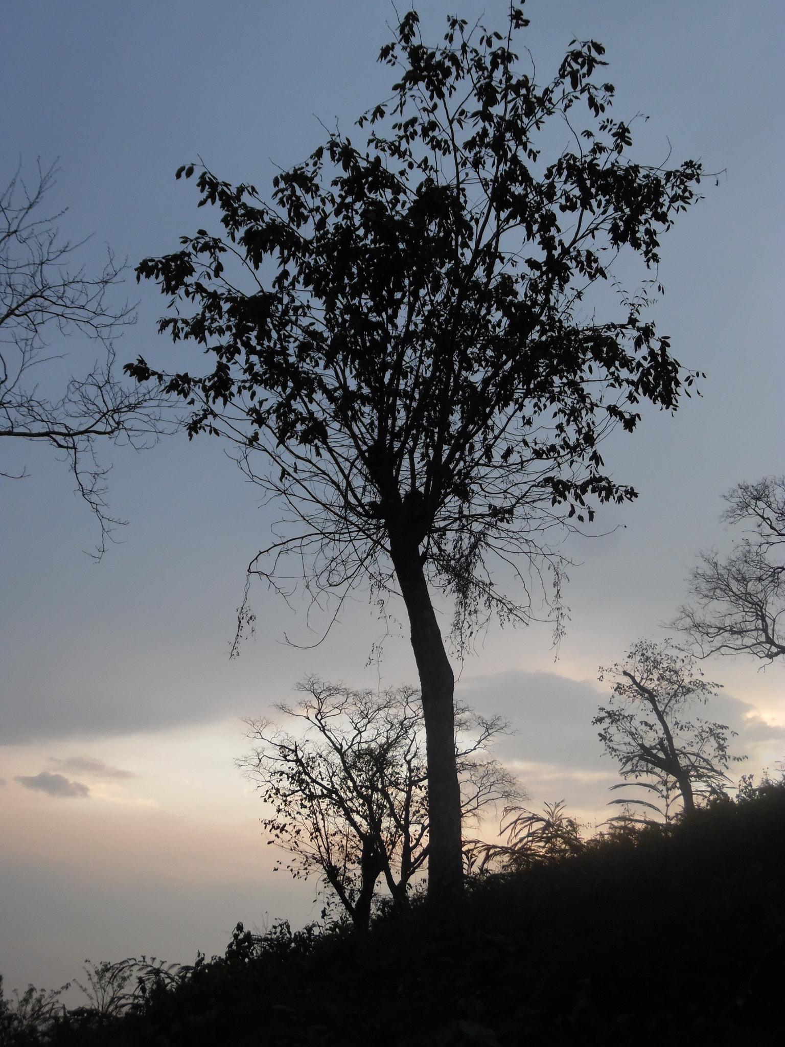 Samsung WB50F/WB51F/WB52F sample photo. Sam_1745.jpg photography
