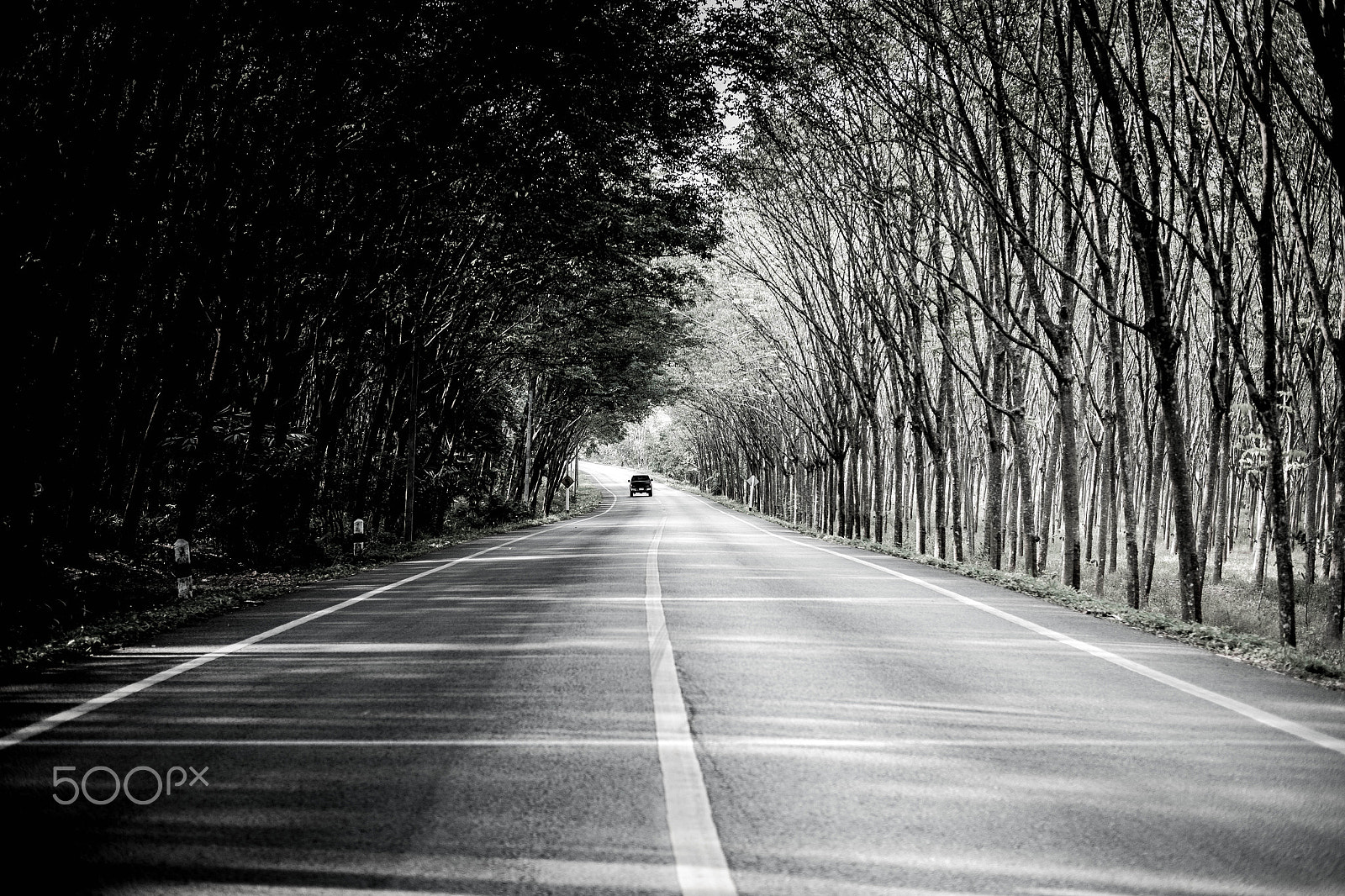 Fujifilm X-A1 + Fujifilm XF 35mm F2 R WR sample photo. The route between forest photography