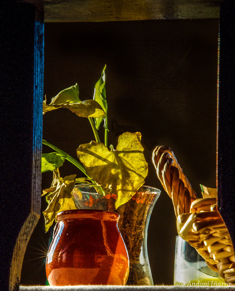 Olympus E-30 sample photo. Bodegoia photography