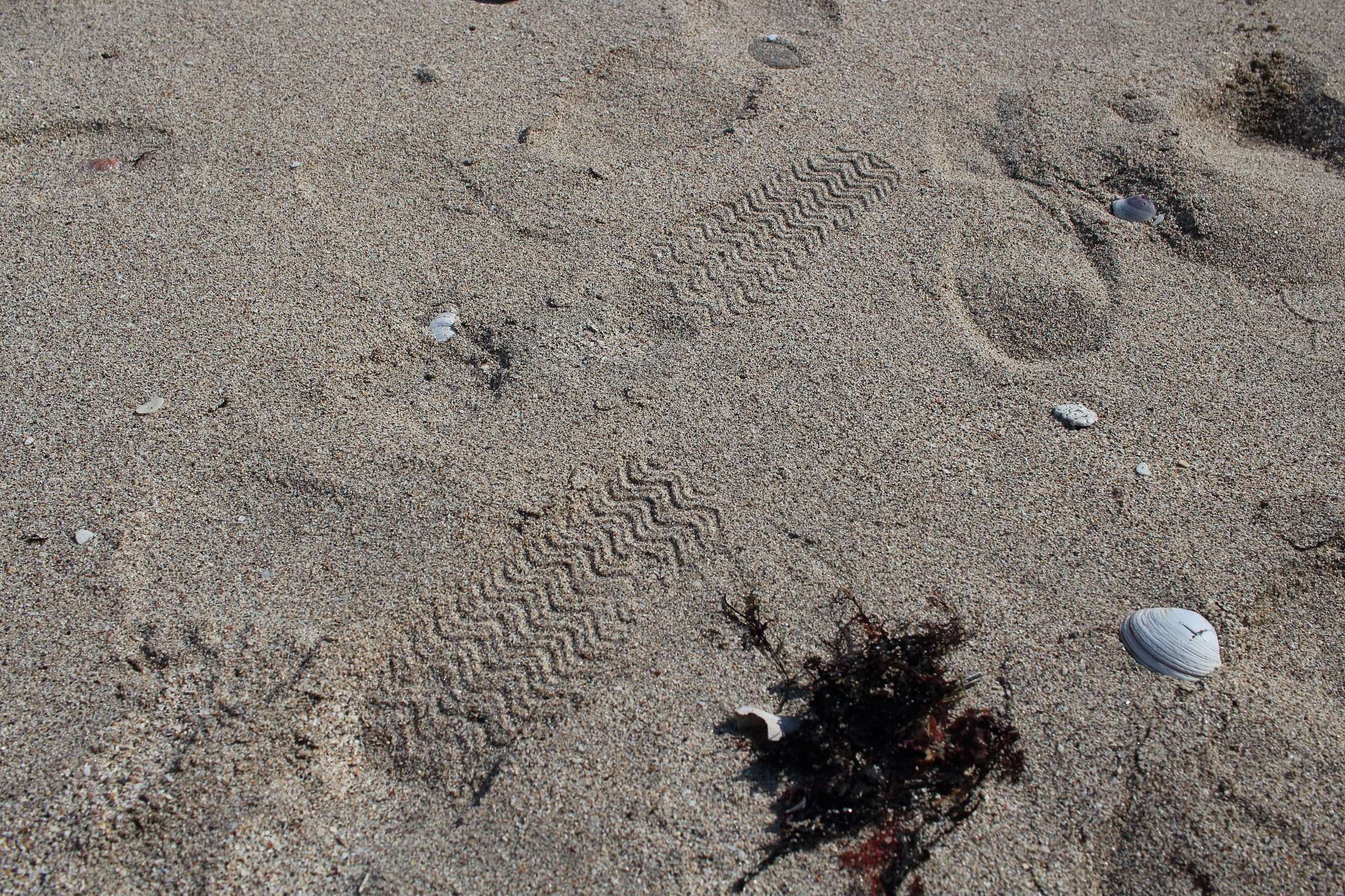 Canon EOS 700D (EOS Rebel T5i / EOS Kiss X7i) sample photo. Sand memory photography
