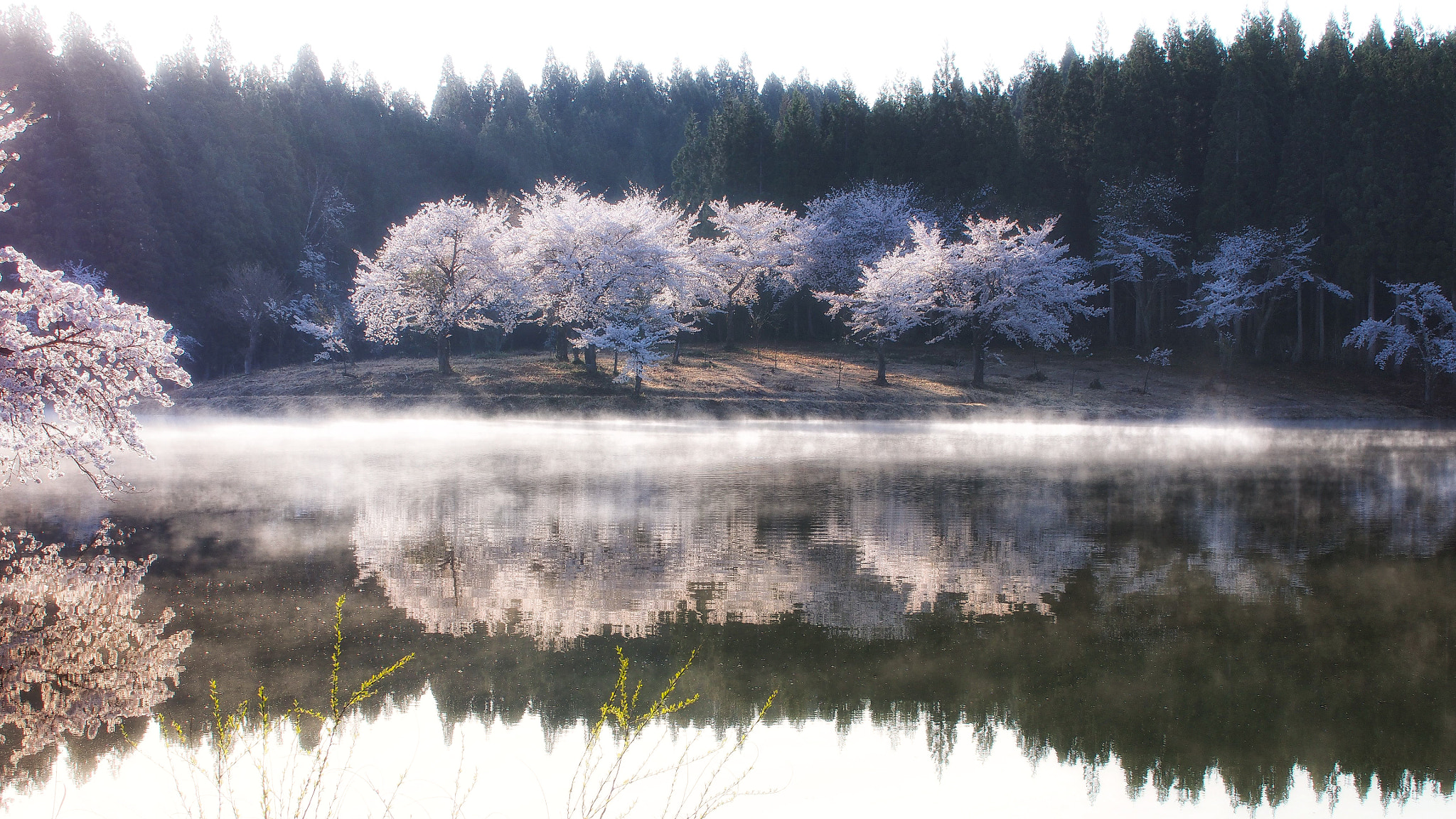 Olympus PEN E-PM2 + Sigma 30mm F2.8 DN Art sample photo