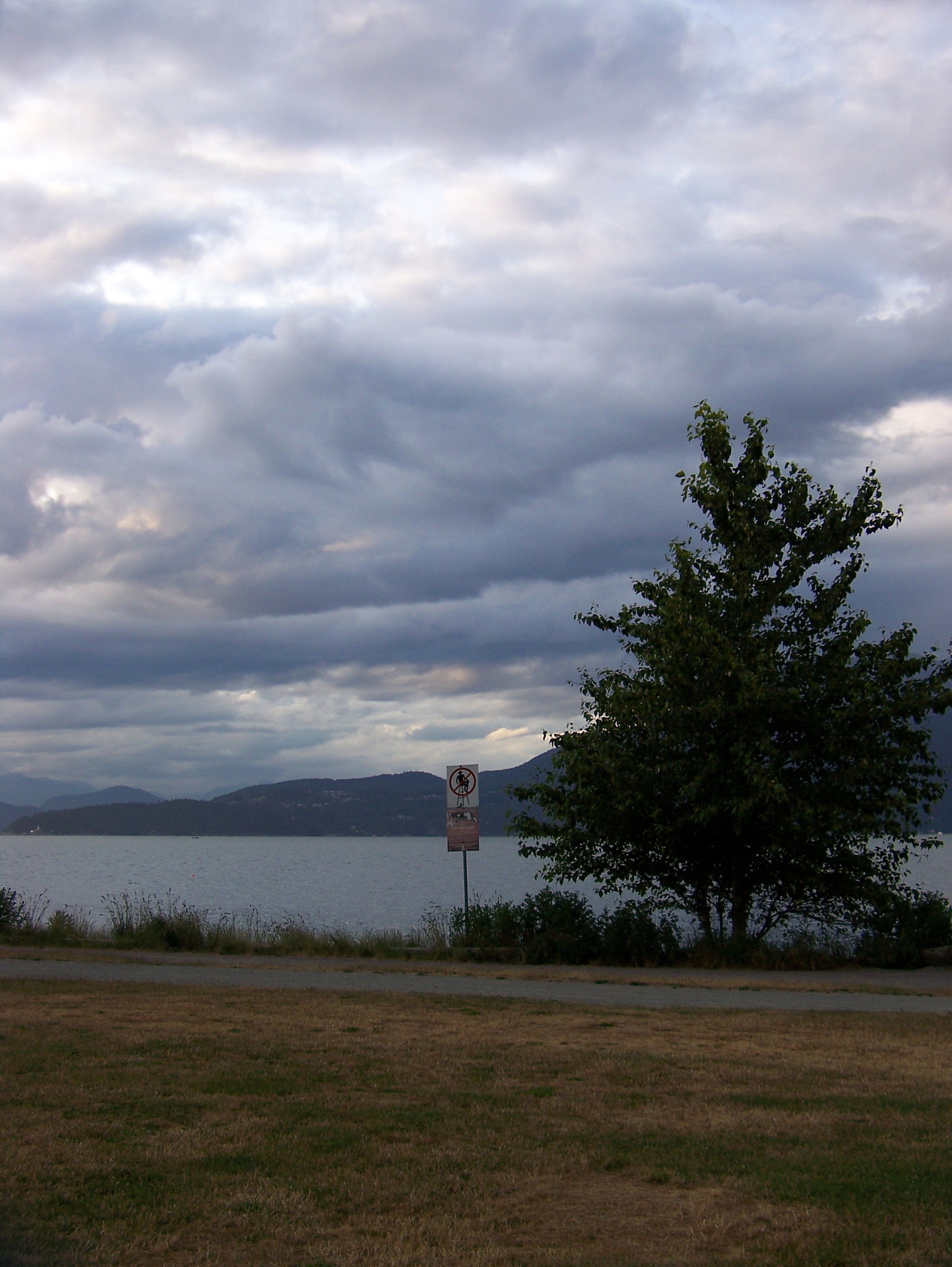 Kodak Z612 ZOOM DIGITAL CAMERA sample photo. Tree under sky photography