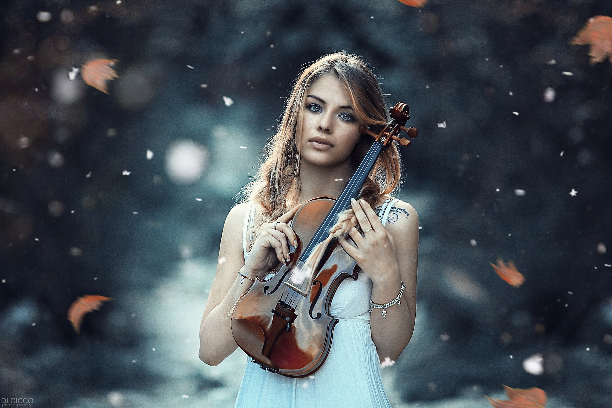 Canon EF 85mm F1.2 sample photo. Cold symphony photography