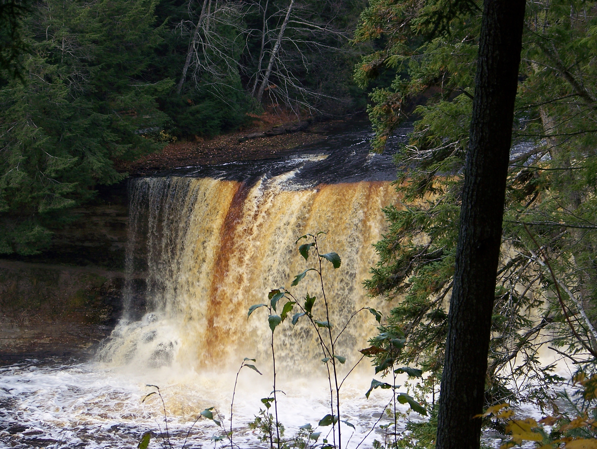 Kodak Z612 ZOOM DIGITAL CAMERA sample photo. Trip to north michigan in 2009 photography