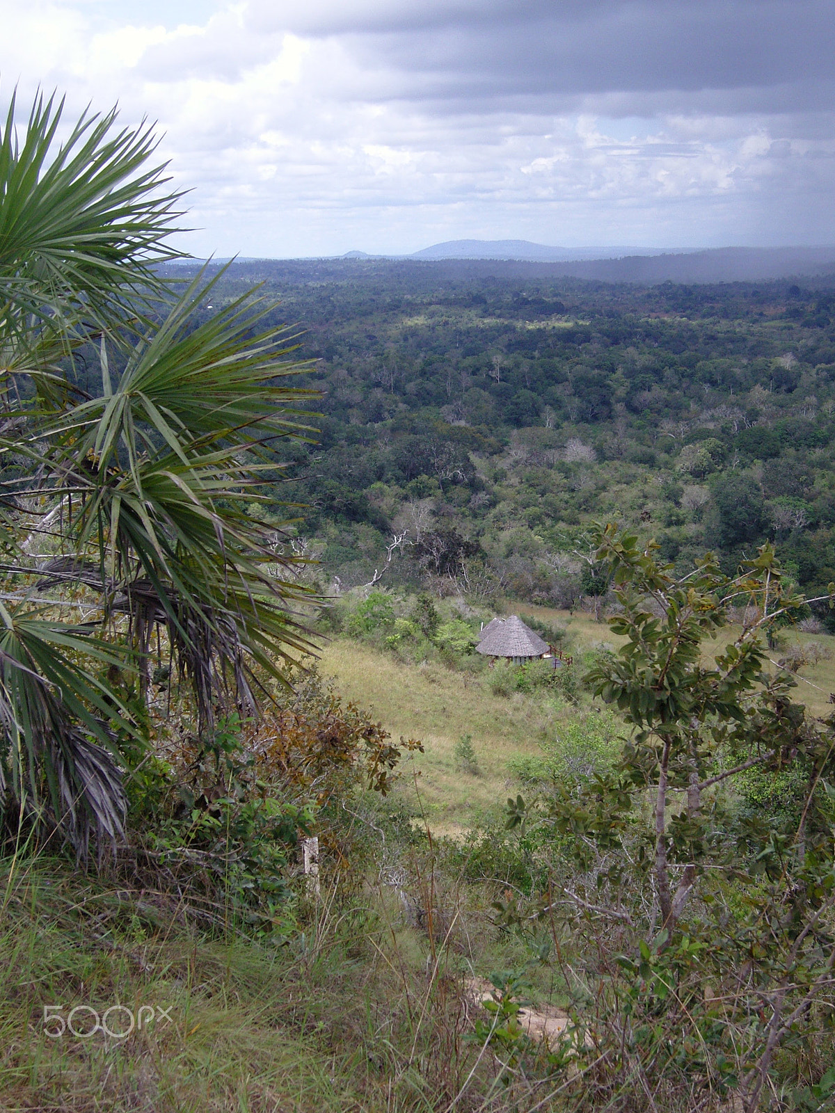 Samsung VLUU NV10, NV10 sample photo. Shimba hills view photography