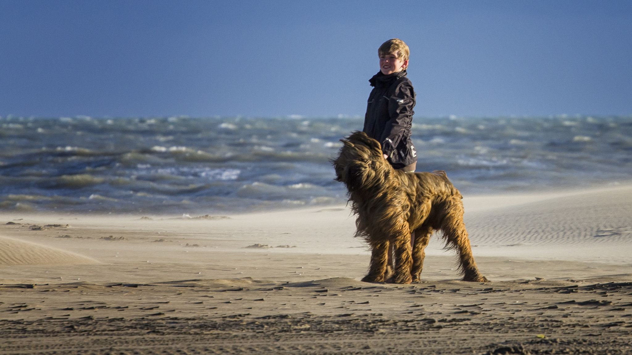Canon EF 70-200mm F4L USM sample photo. Camargue photography
