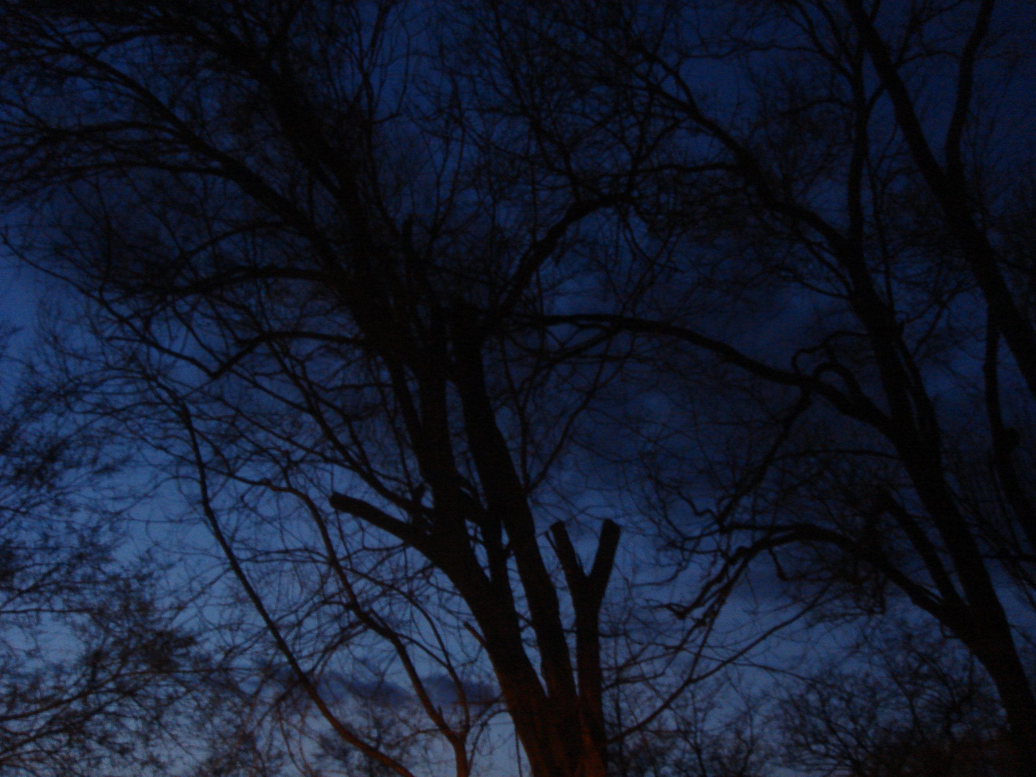 Sony DSC-T9 sample photo. Dsc04679.jpg photography