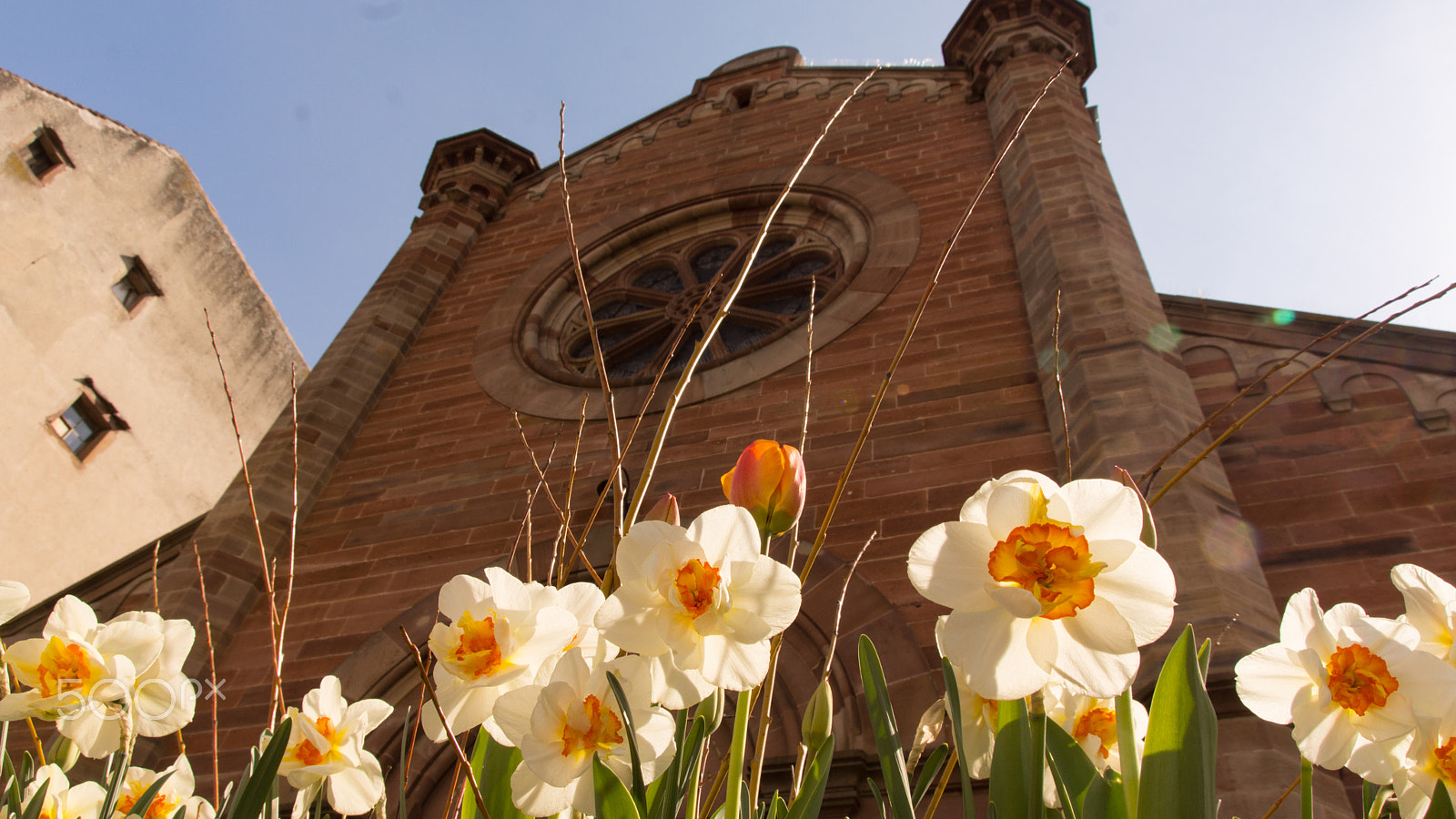 Sony SLT-A65 (SLT-A65V) + Tamron AF 28-105mm F4-5.6 [IF] sample photo. Obernai synagogue photography