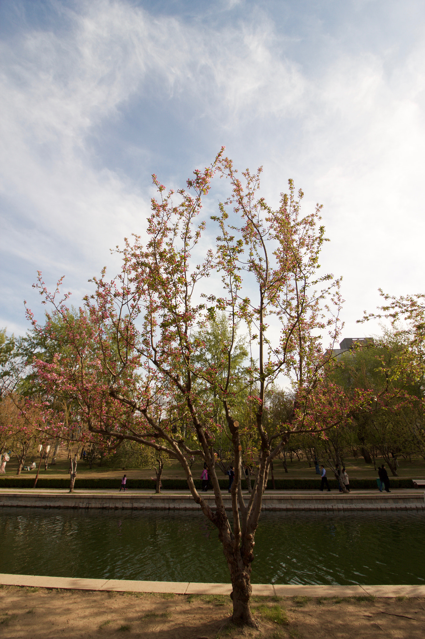 Canon EF-S 10-18mm F4.5–5.6 IS STM sample photo. 元大都遗址 photography