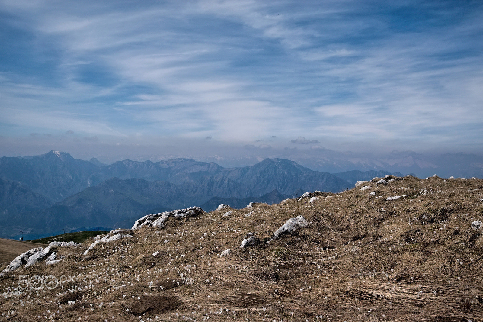 16.00 - 85.00 mm f/3.5 - 5.6 sample photo. Crocus on monte baldo photography