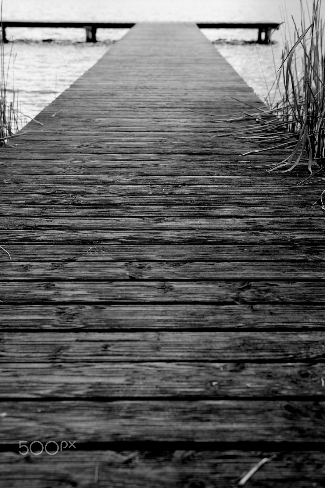 Canon 18-35mm sample photo. Big wünsdorfer lake photography